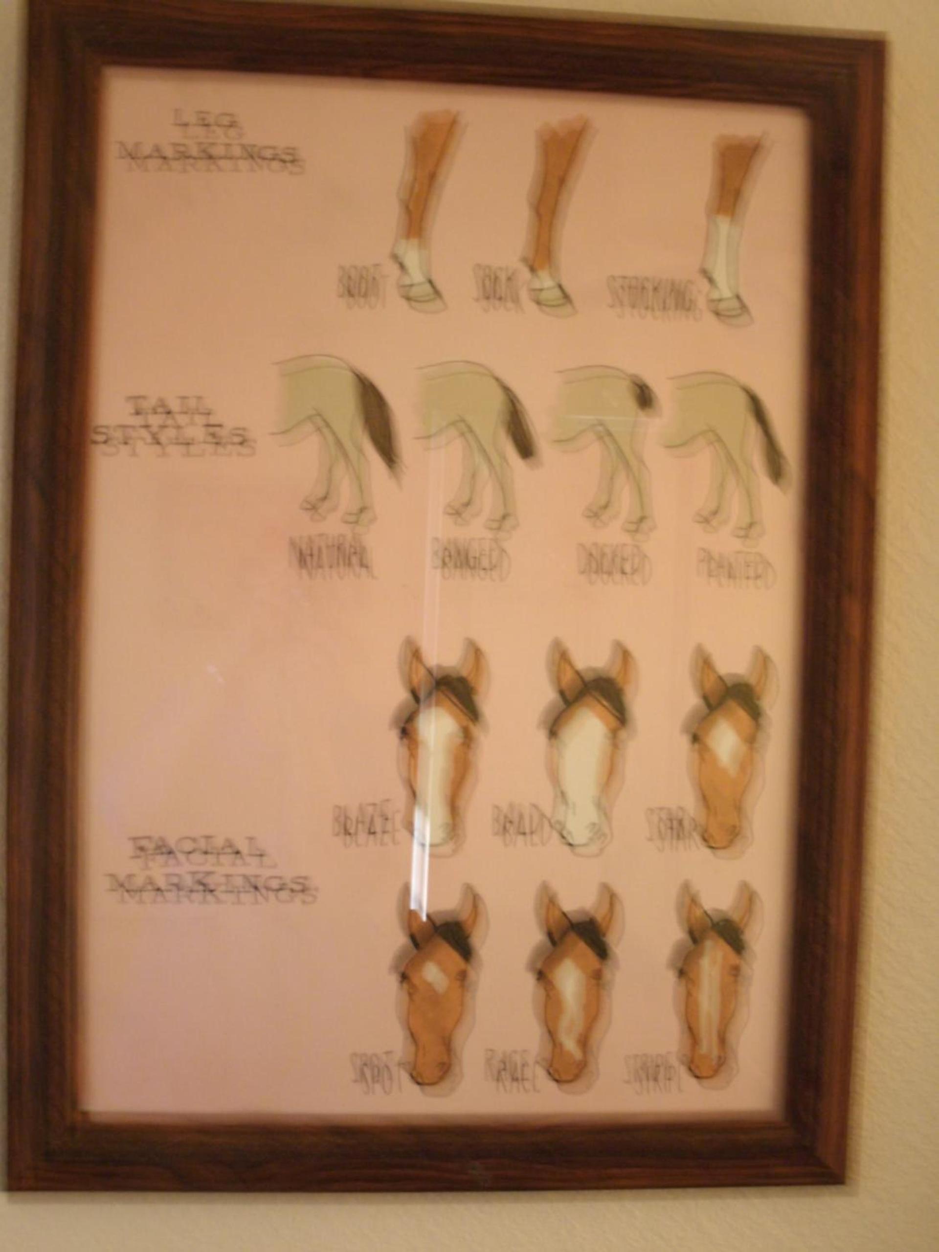 Virginia City Inn photo 29