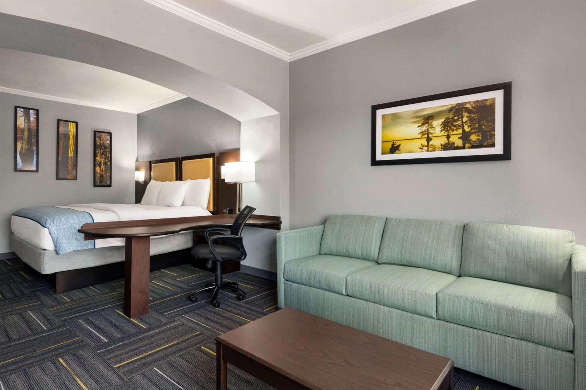 La Quinta by Wyndham Dublin photo 40