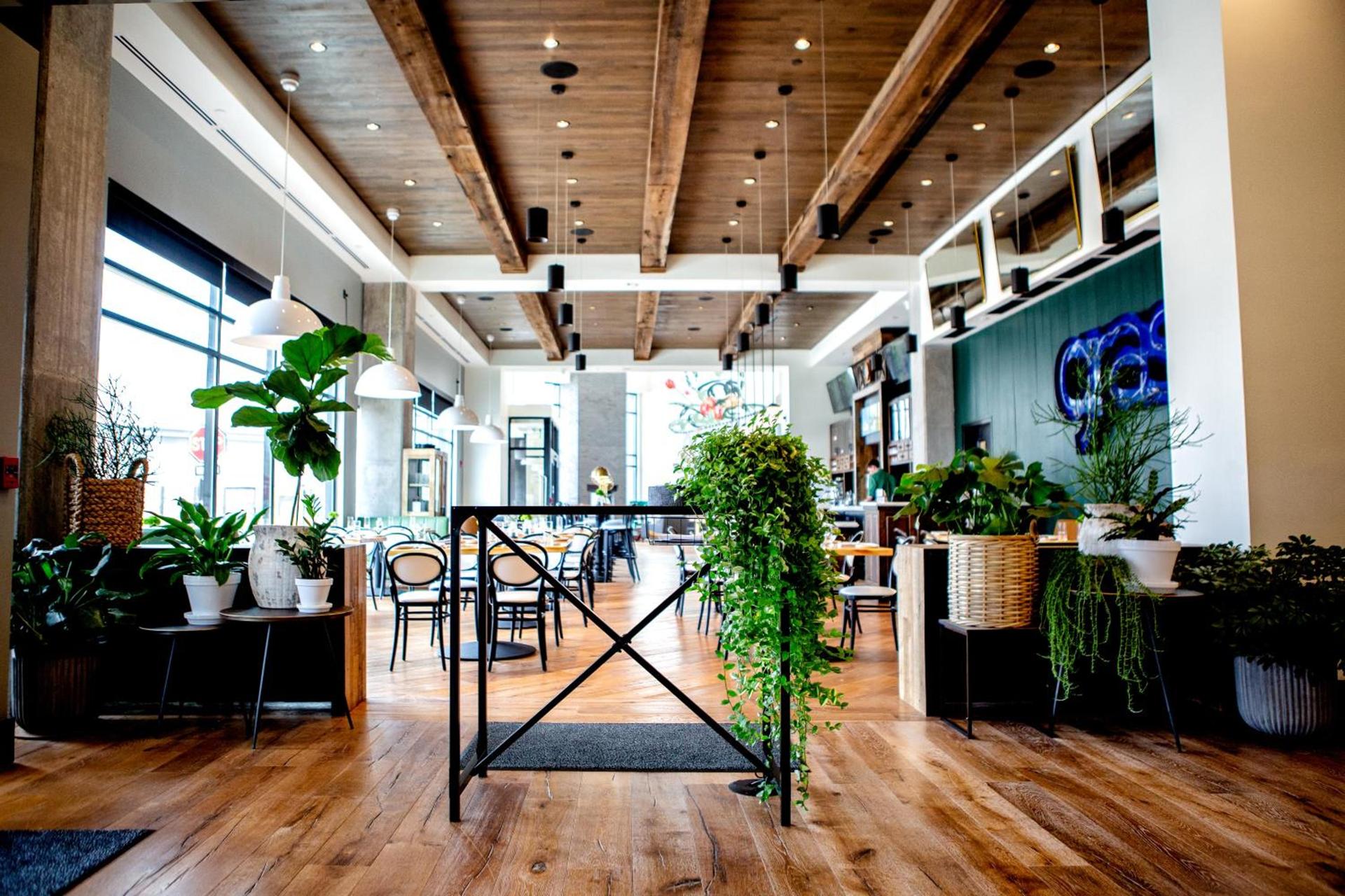 Origin Lexington, a Wyndham Hotel photo 59