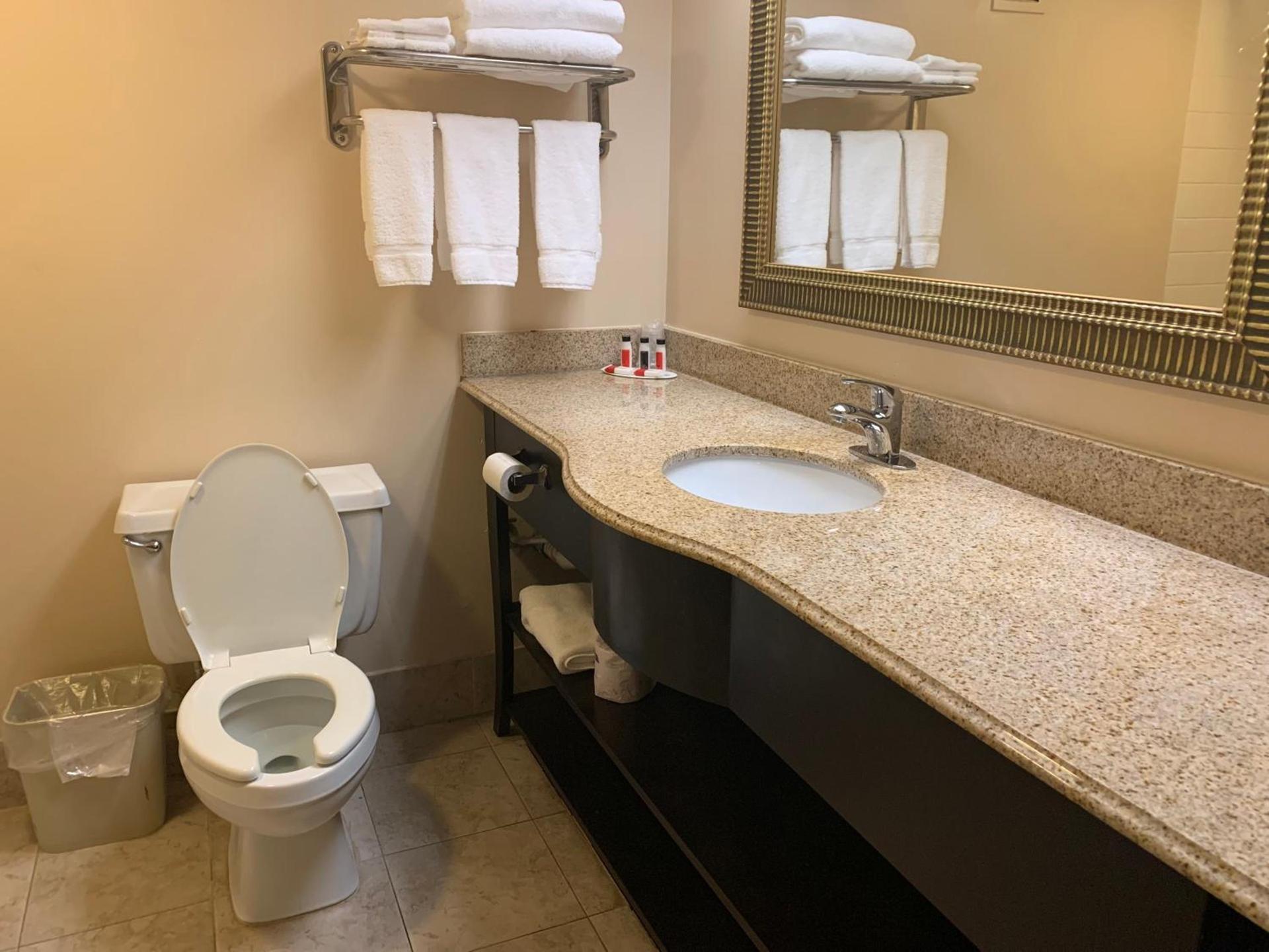 Comfort Inn & Suites photo 26