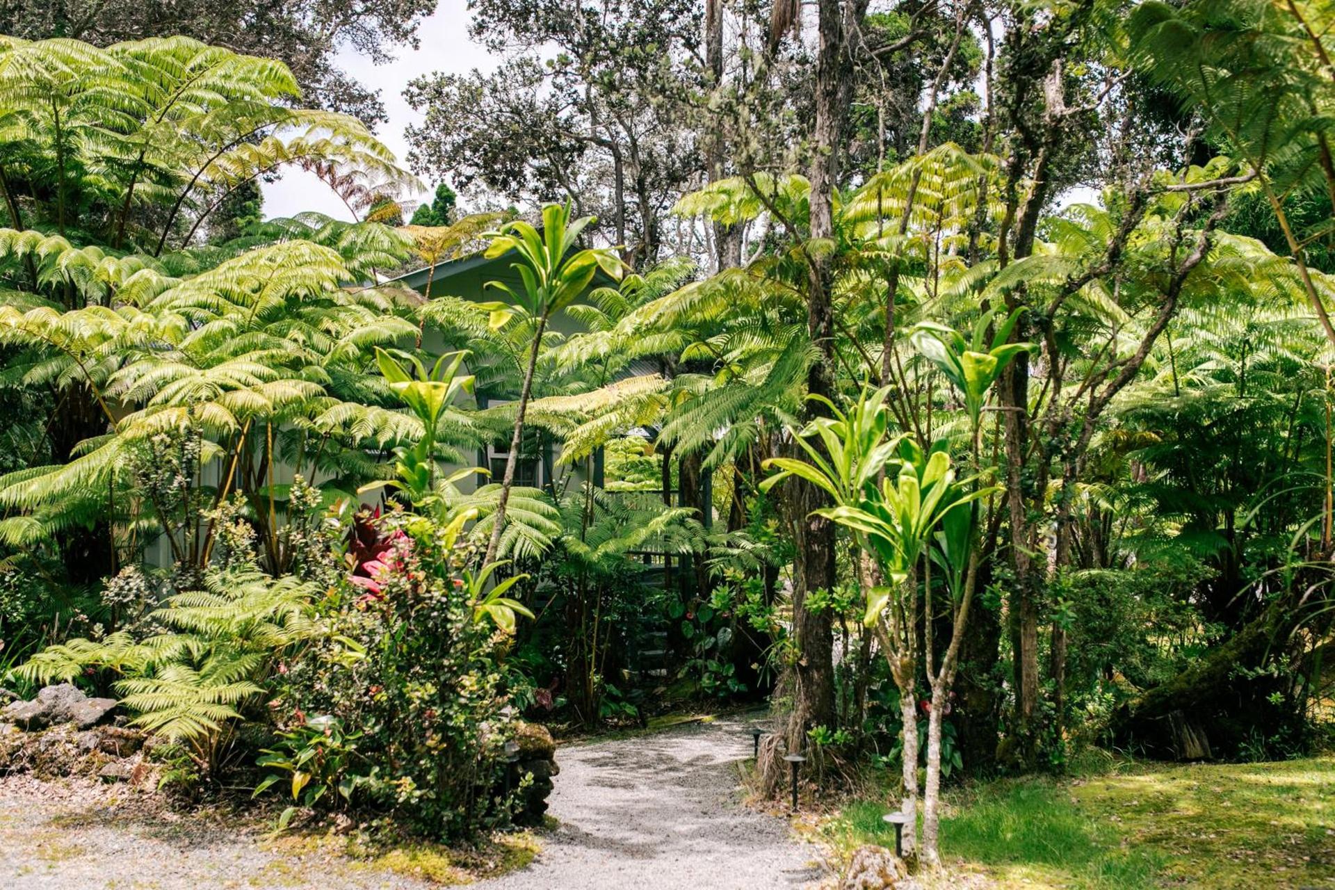 Kilauea Lodge and Restaurant photo 6