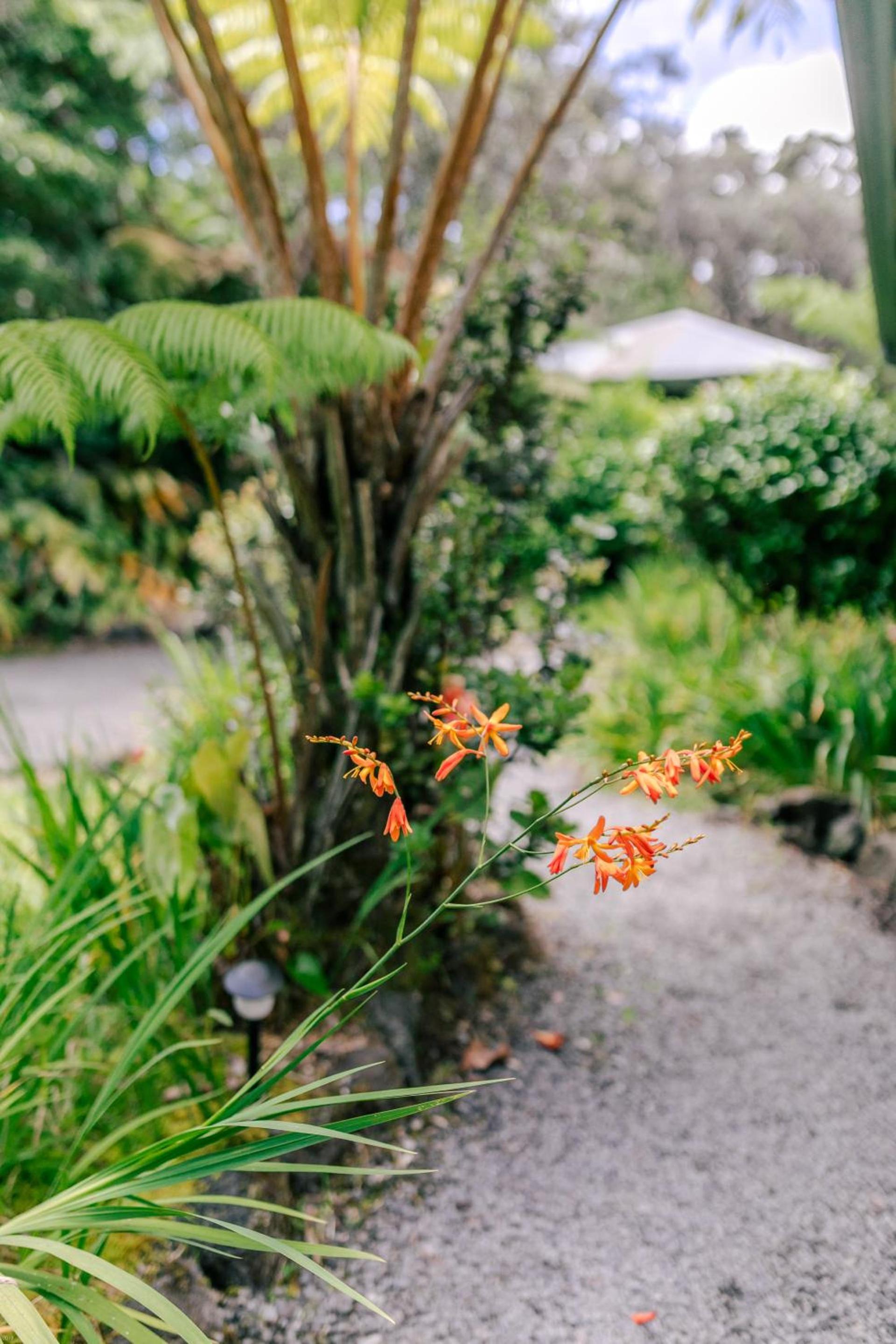 Kilauea Lodge and Restaurant photo 14