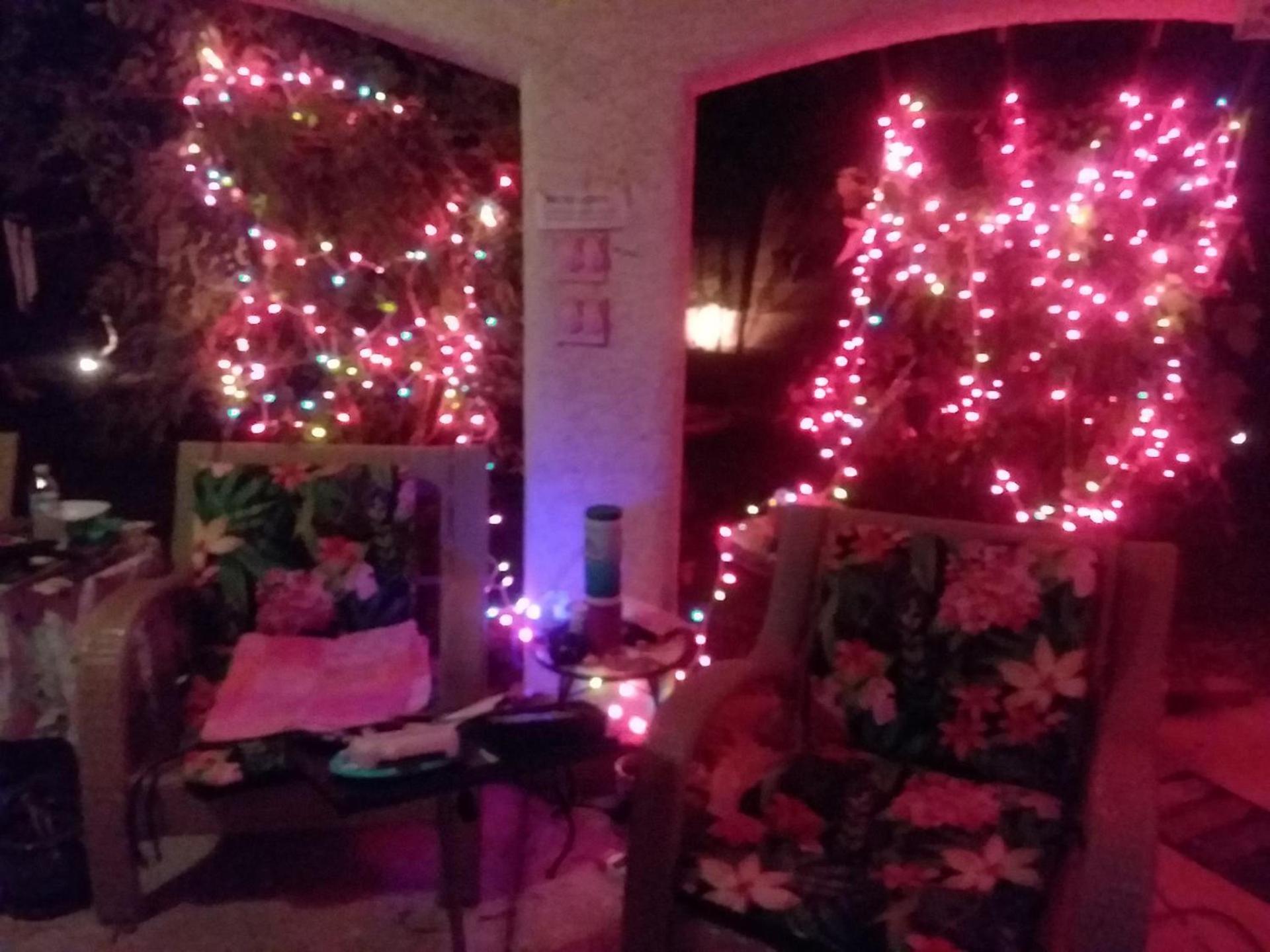 CATmosphere photo 19