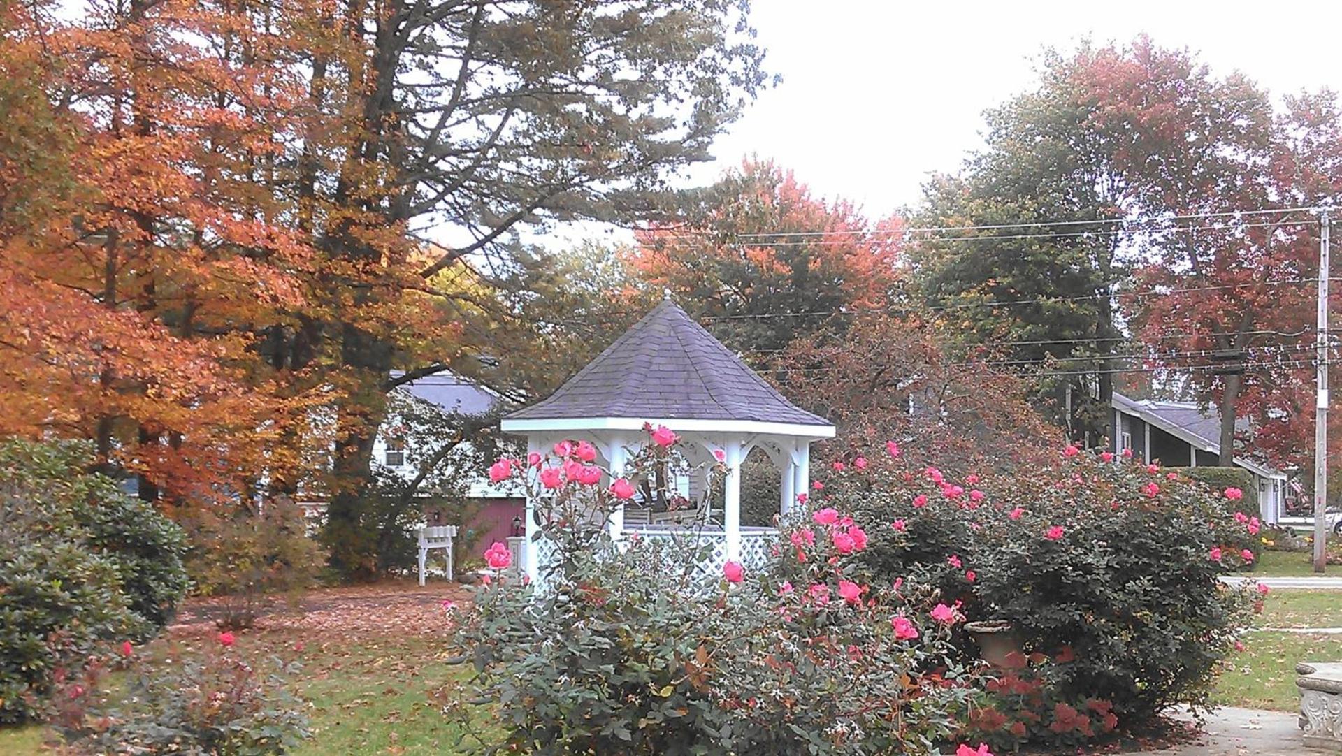 Victoria Inn photo 92