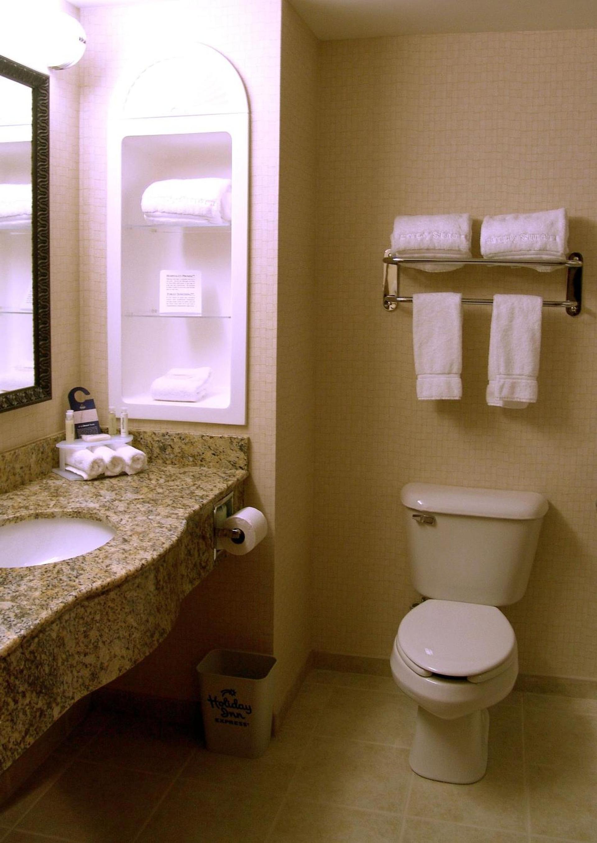 Holiday Inn Express & Suites Rochester by IHG photo 13
