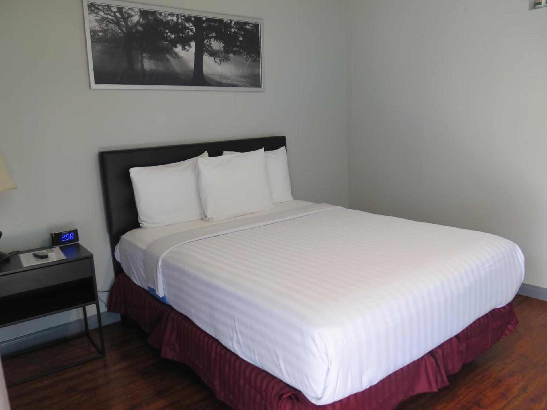 DTLA Hotel photo 21