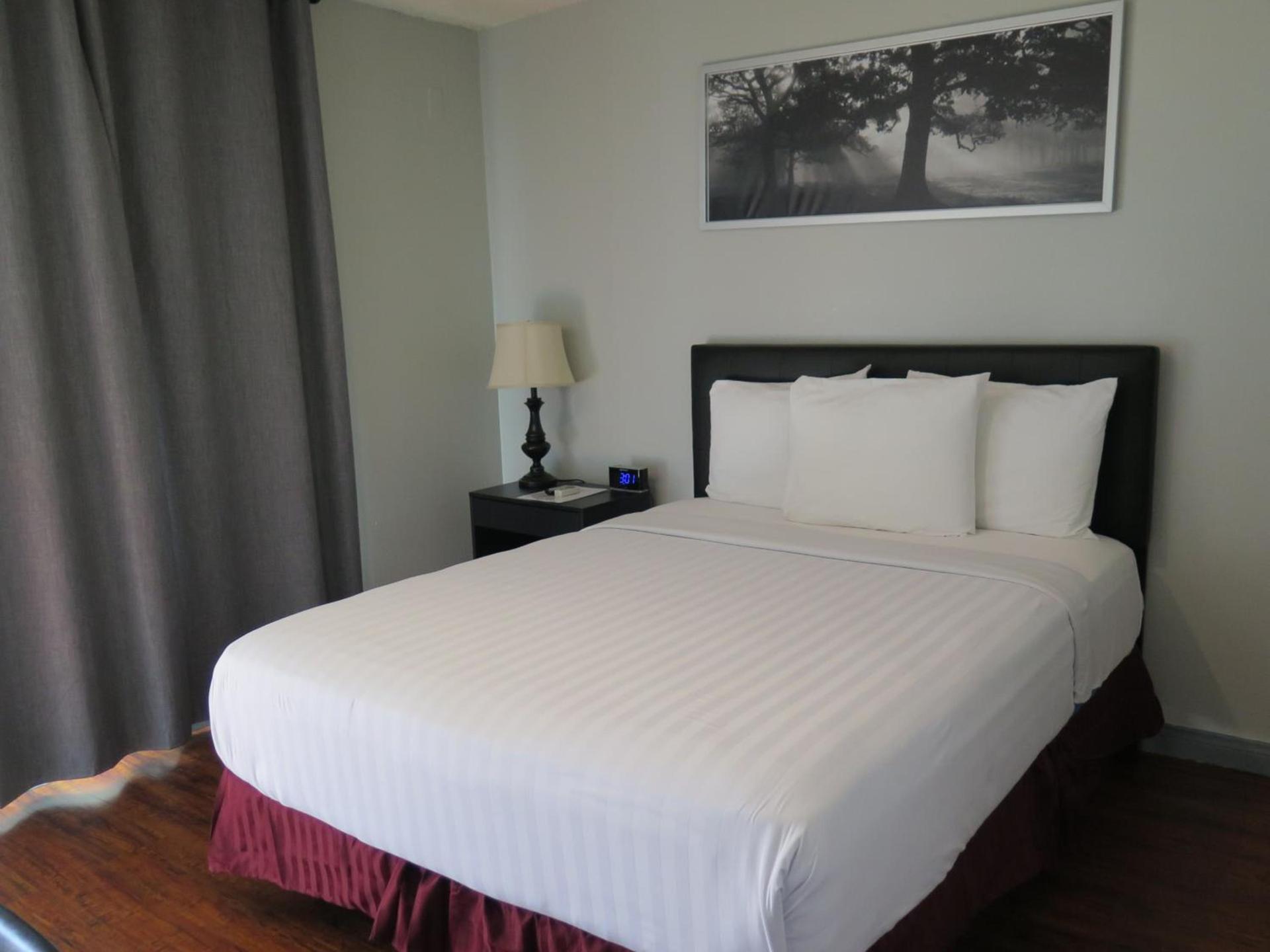 DTLA Hotel photo 19