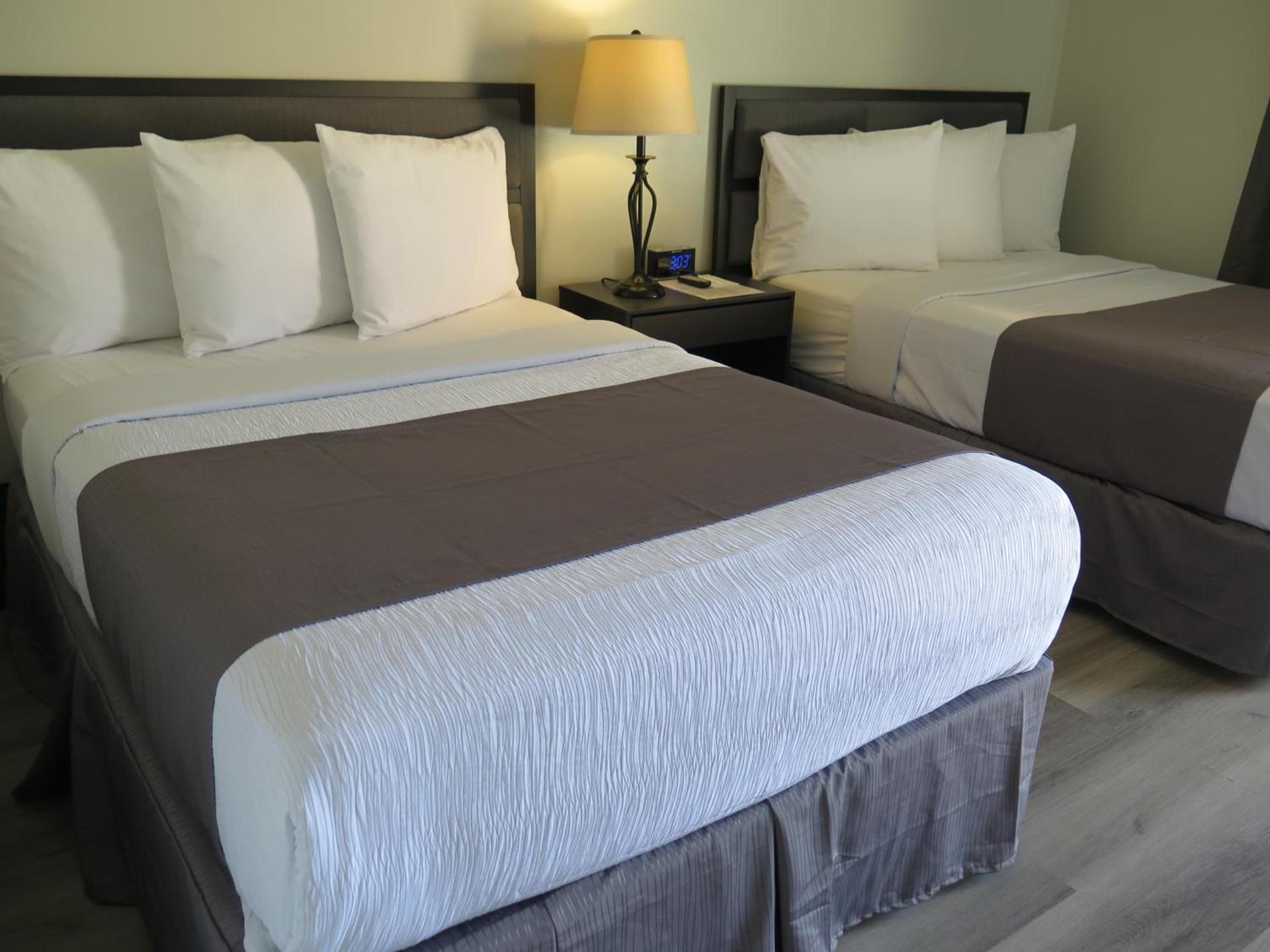 DTLA Hotel photo 27