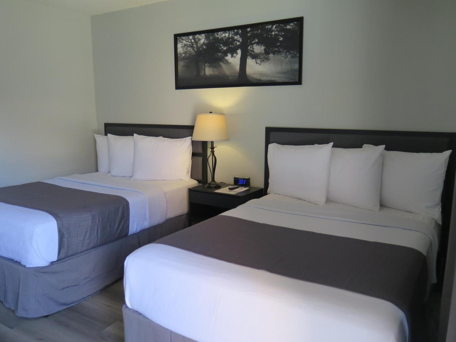 DTLA Hotel photo 26