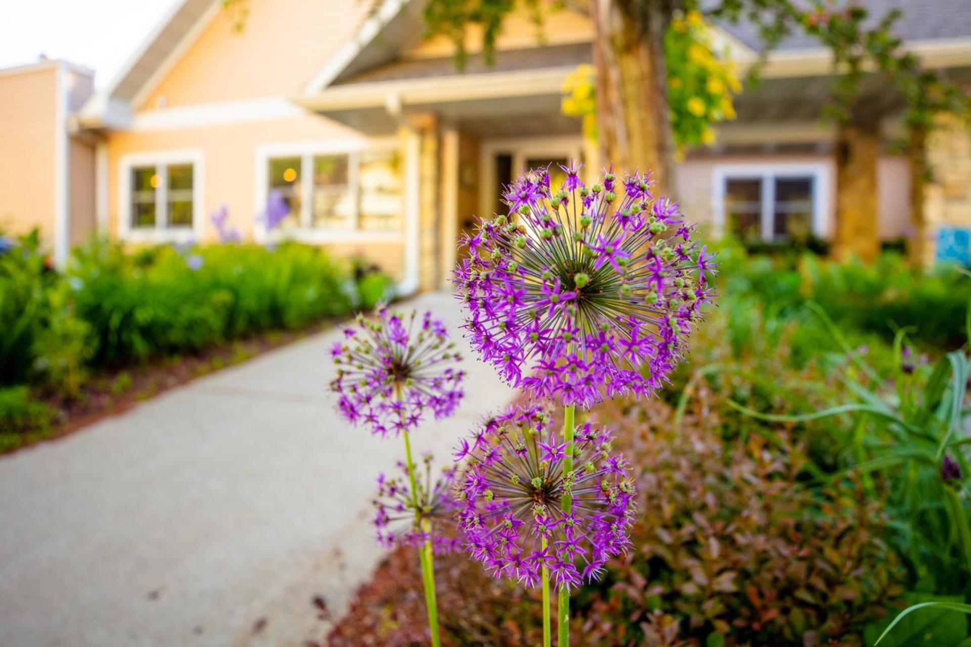 Westwood Shores Waterfront Resort photo 8
