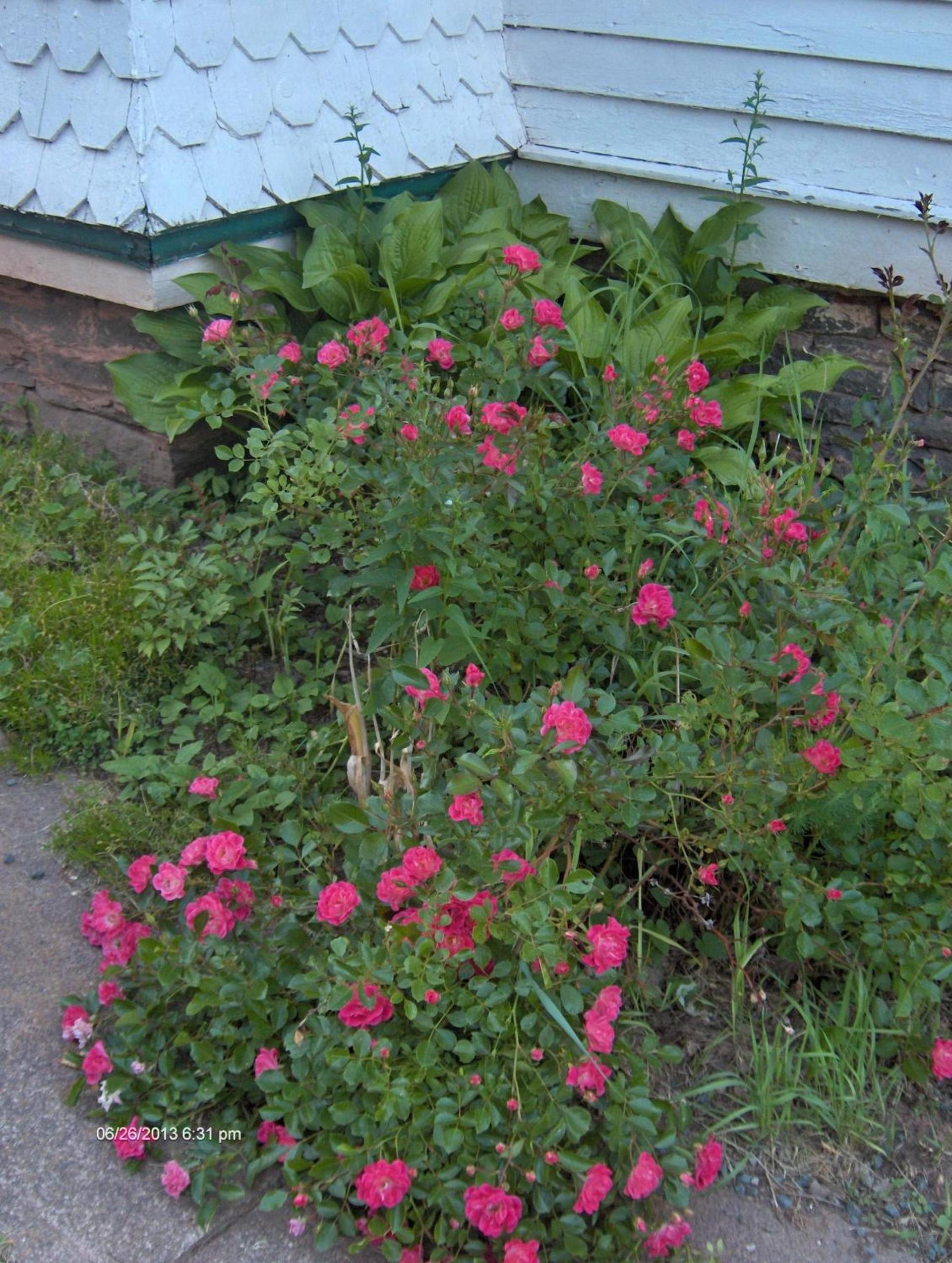 Antique Rose Inn Windham photo 52