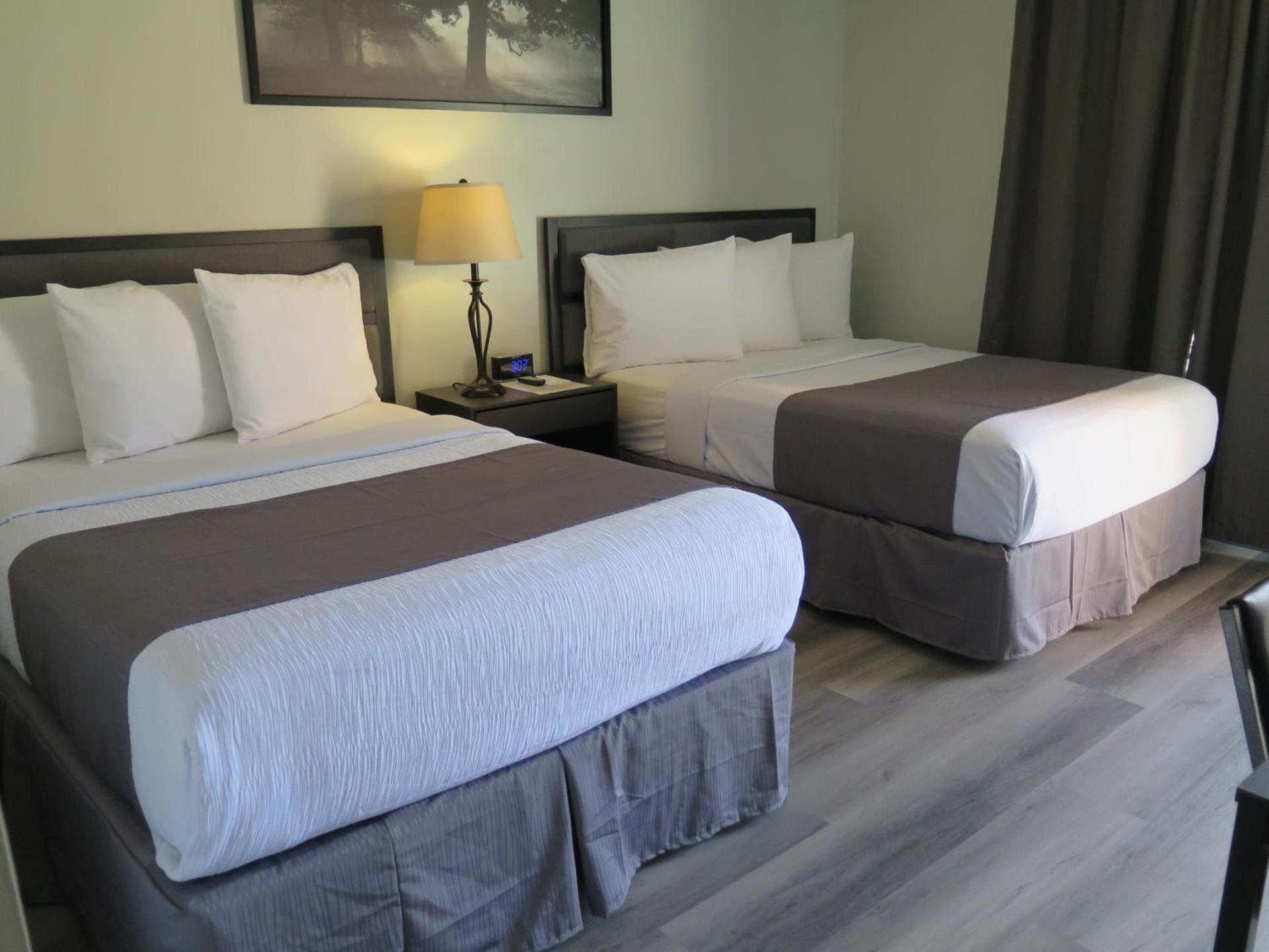 DTLA Hotel photo 25