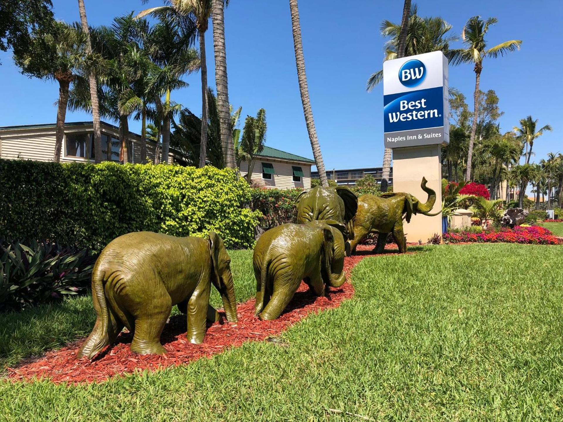 Best Western Naples Inn & Suites photo 31