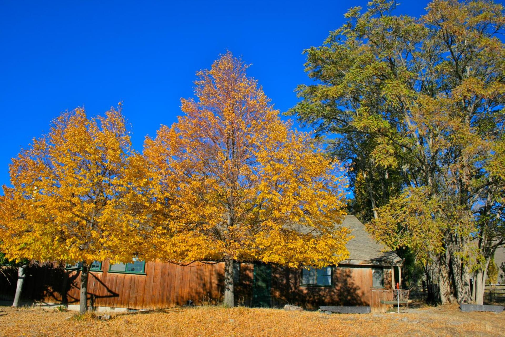 Old Pioneer Garden Country Inn photo 21