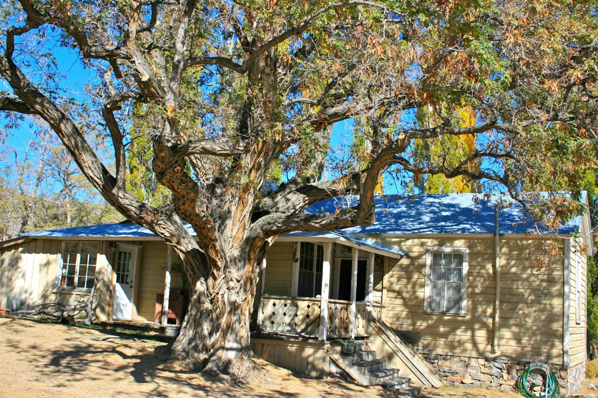 Old Pioneer Garden Country Inn photo 12