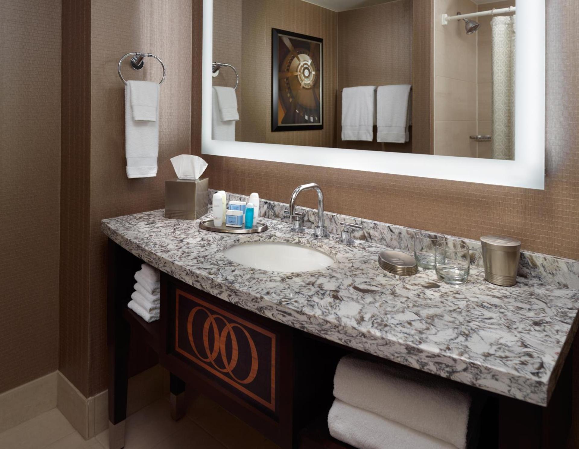 Omni Providence photo 39