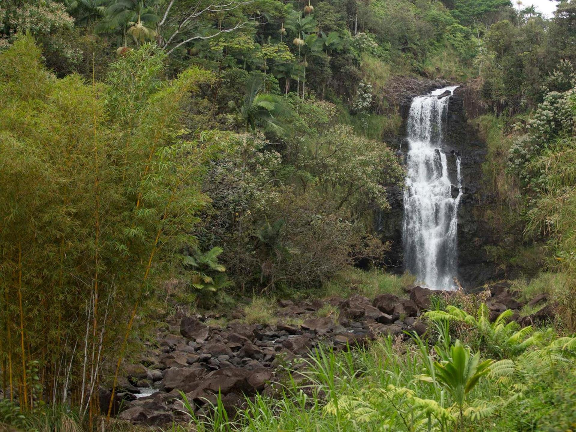 The Inn at Kulaniapia Falls photo 23