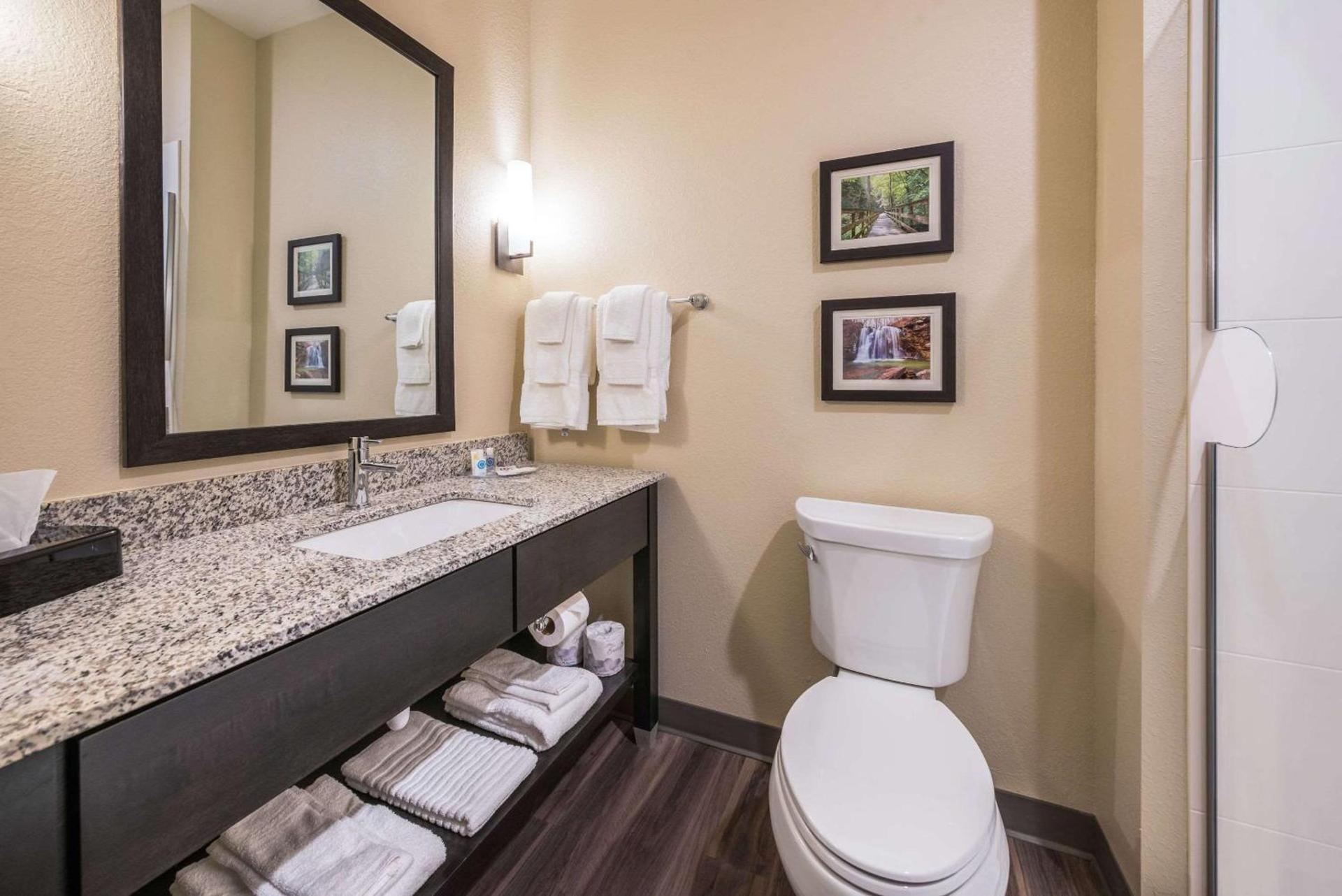 Comfort Suites Marysville Columbus - Northwest photo 15