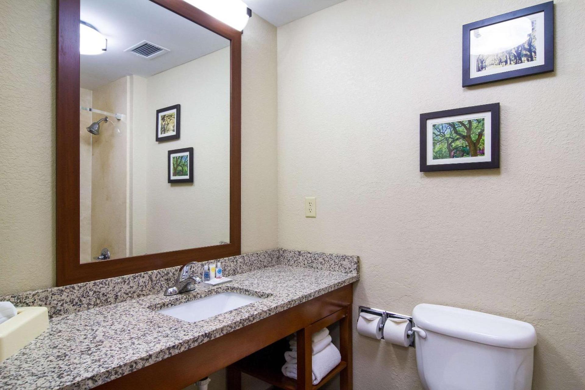 Comfort Inn Blackshear Hwy 84 photo 25