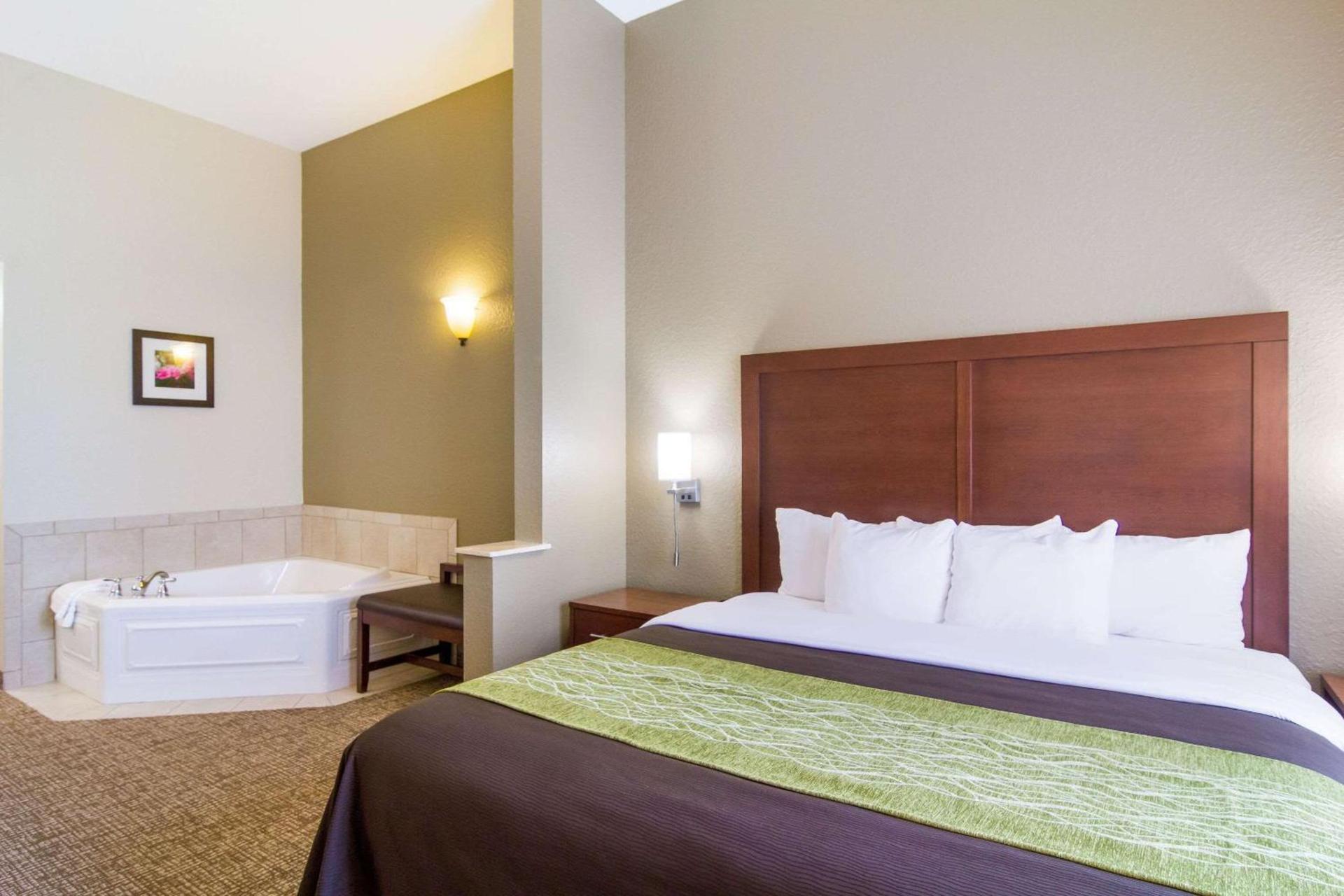 Comfort Inn Blackshear Hwy 84 photo 4