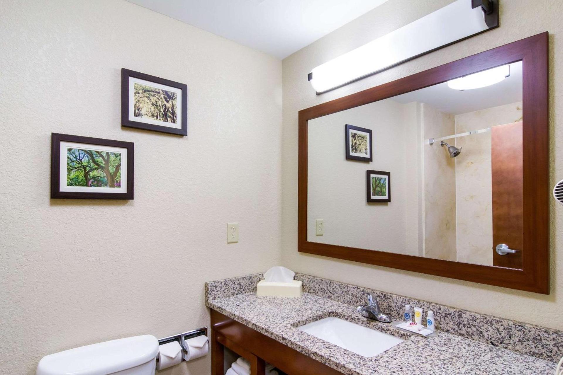 Comfort Inn Blackshear Hwy 84 photo 9