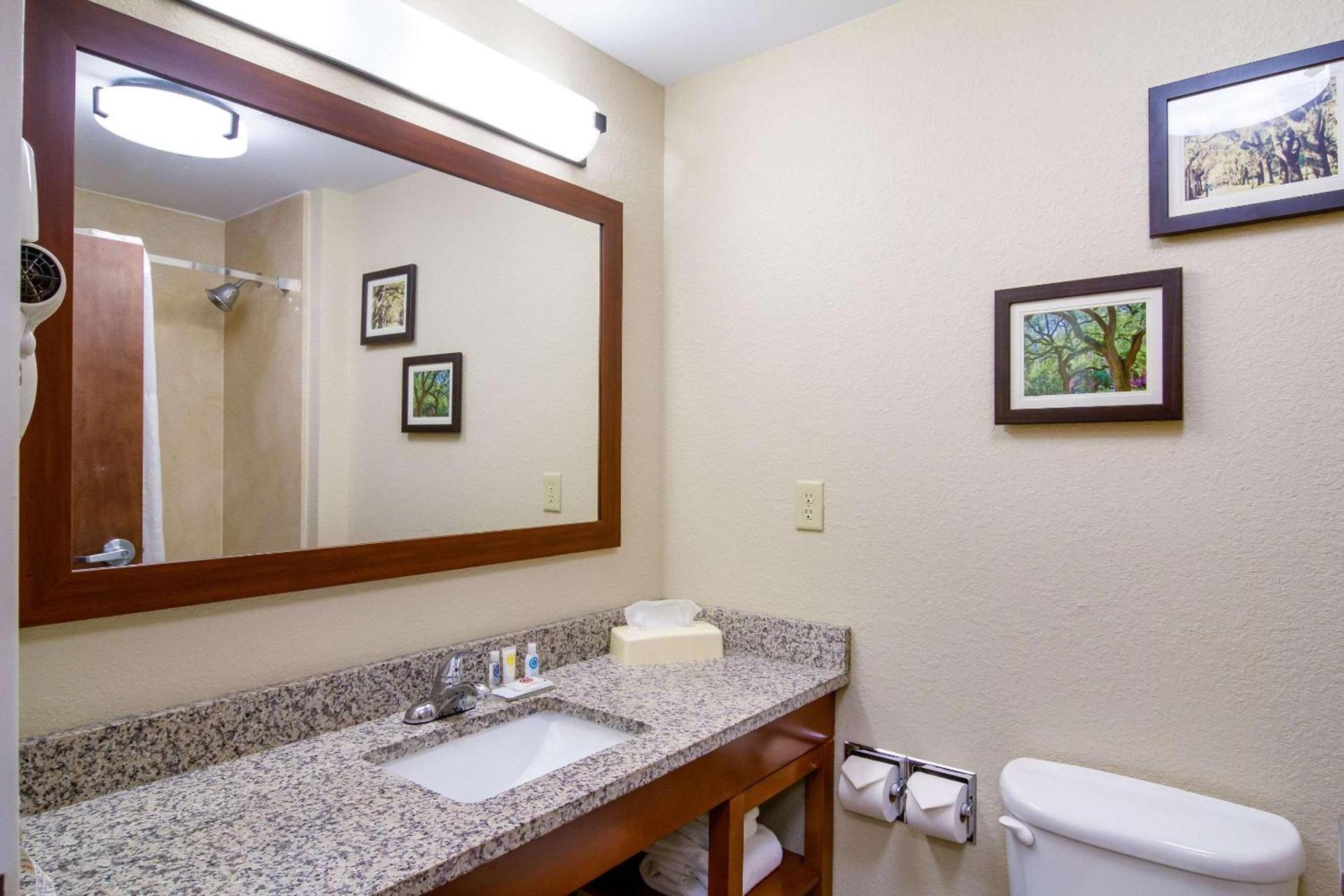 Comfort Inn Blackshear Hwy 84 photo 7