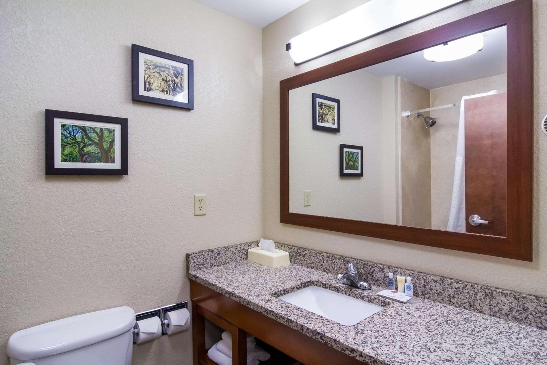 Comfort Inn Blackshear Hwy 84 photo 10