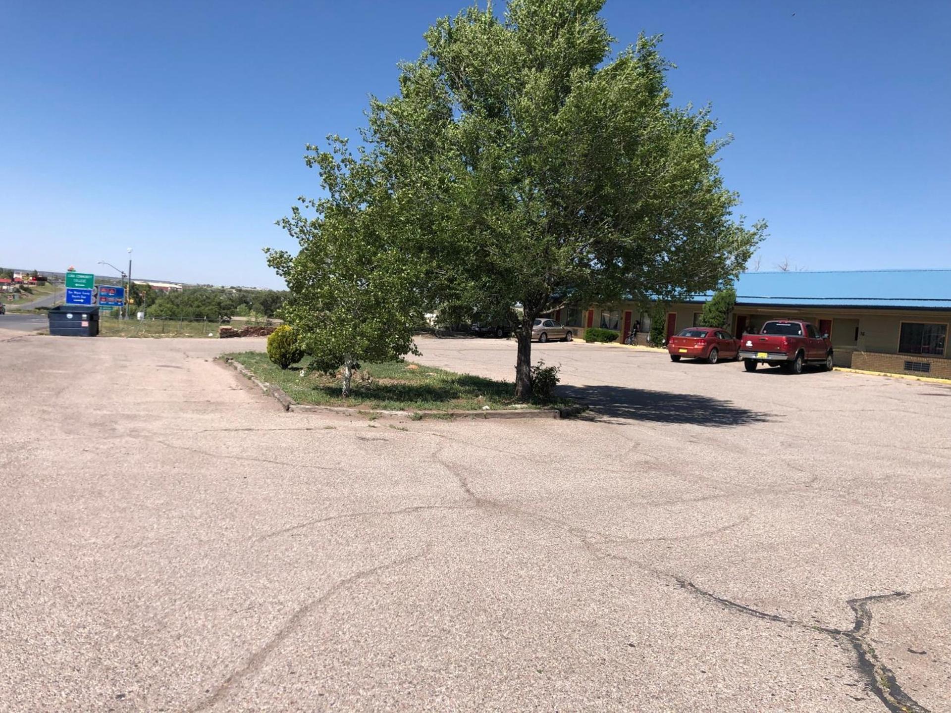 Palomino Motel photo 22
