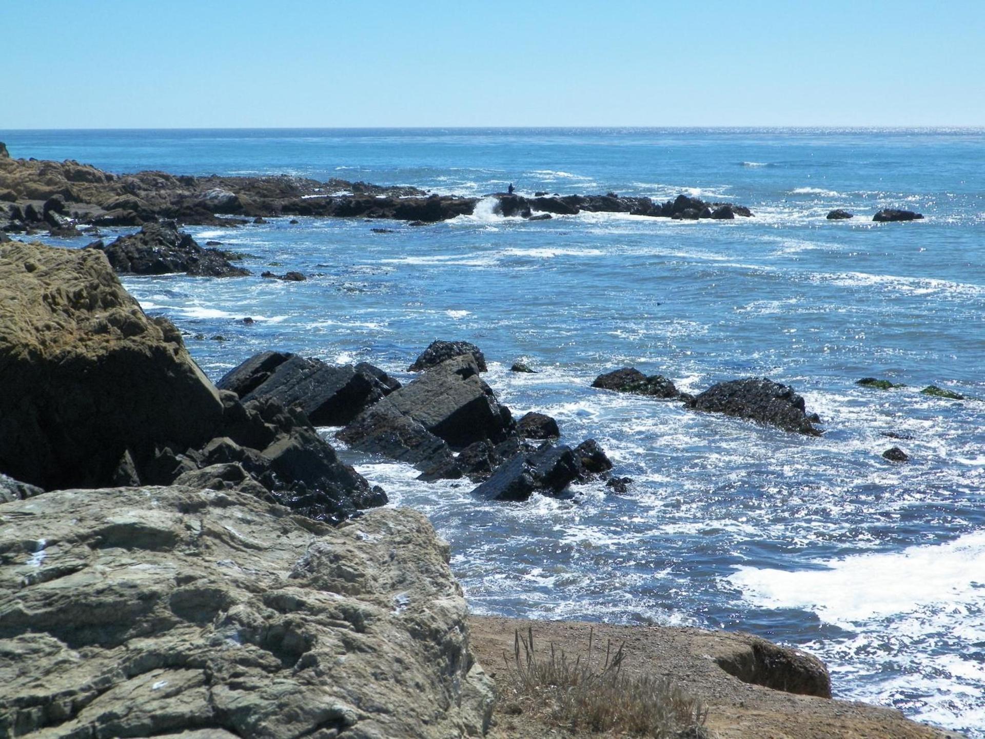 Sea Otter Inn photo 47