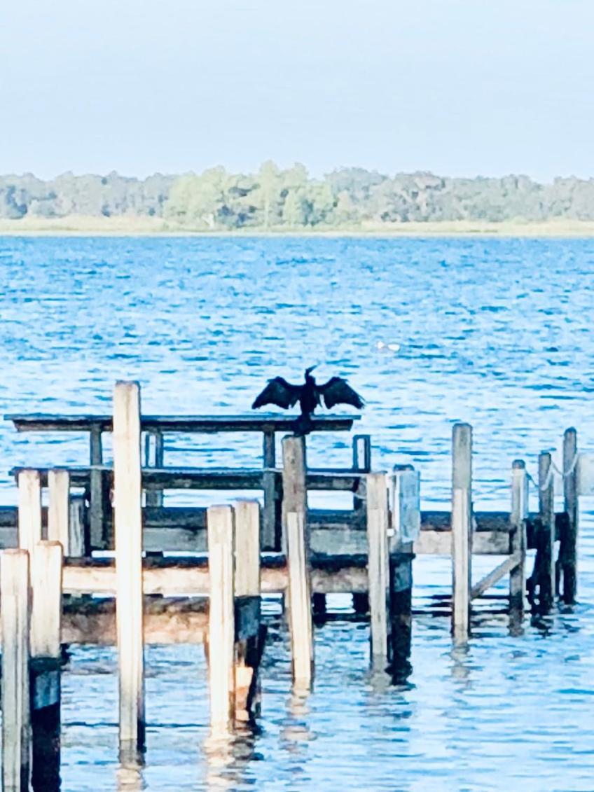 Lakeside Inn and Cafe photo 85