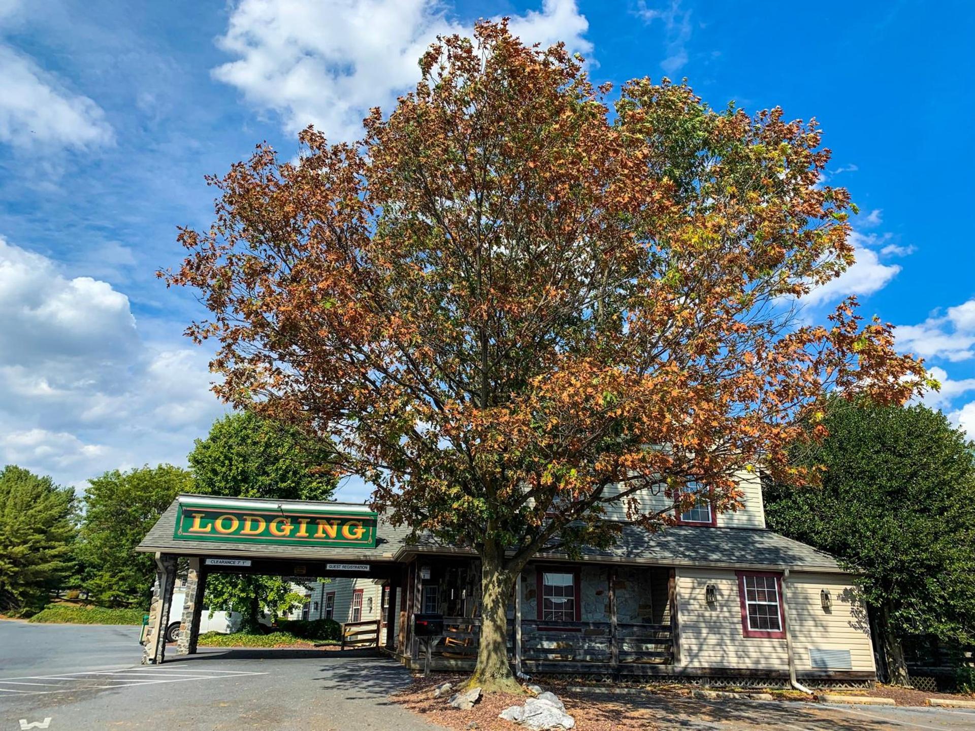 The Country Inn of Lancaster — hotel in Lancaster