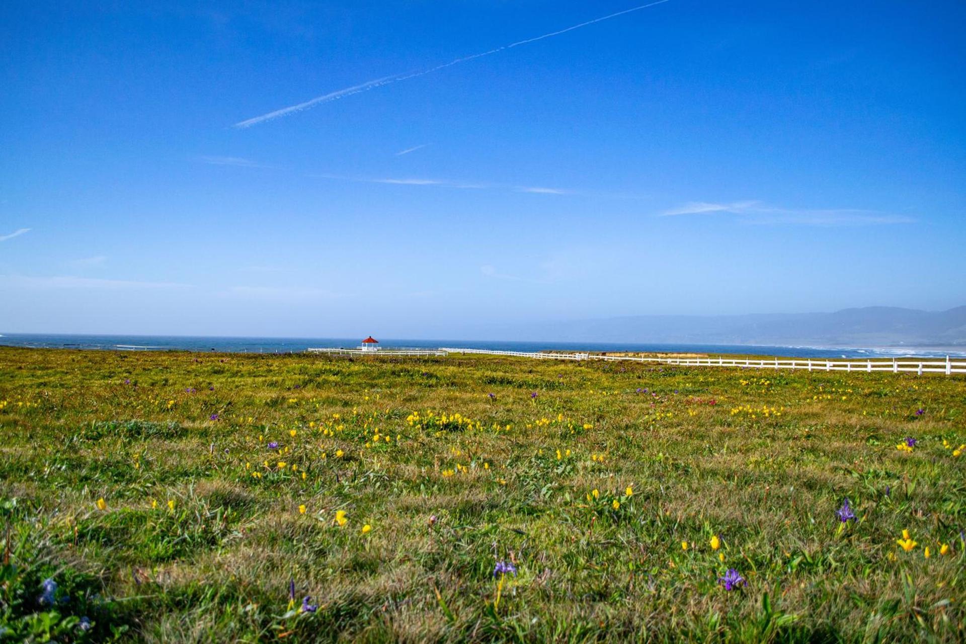 Point Arena Lighthouse photo 17