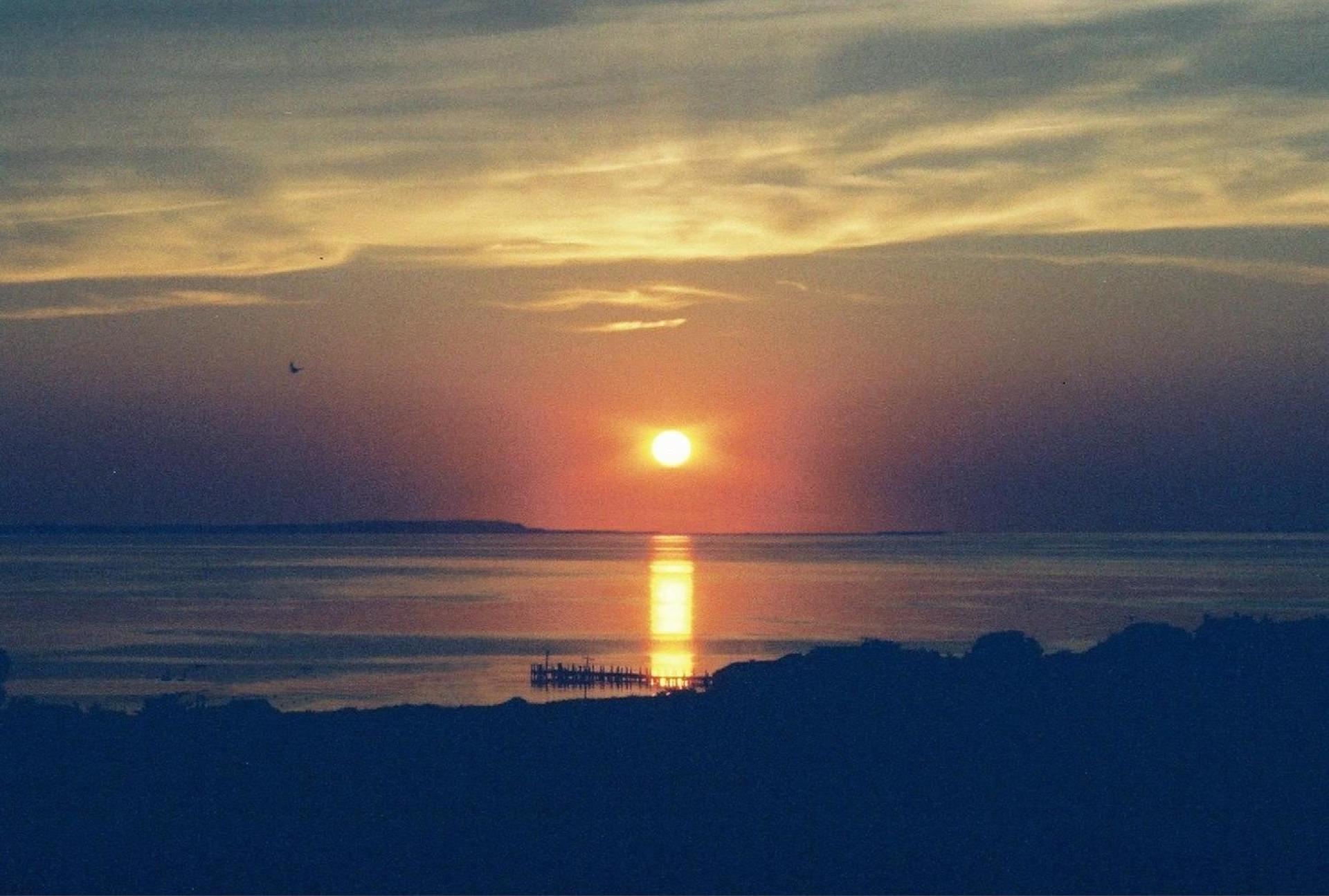 Montauk Manor photo 45