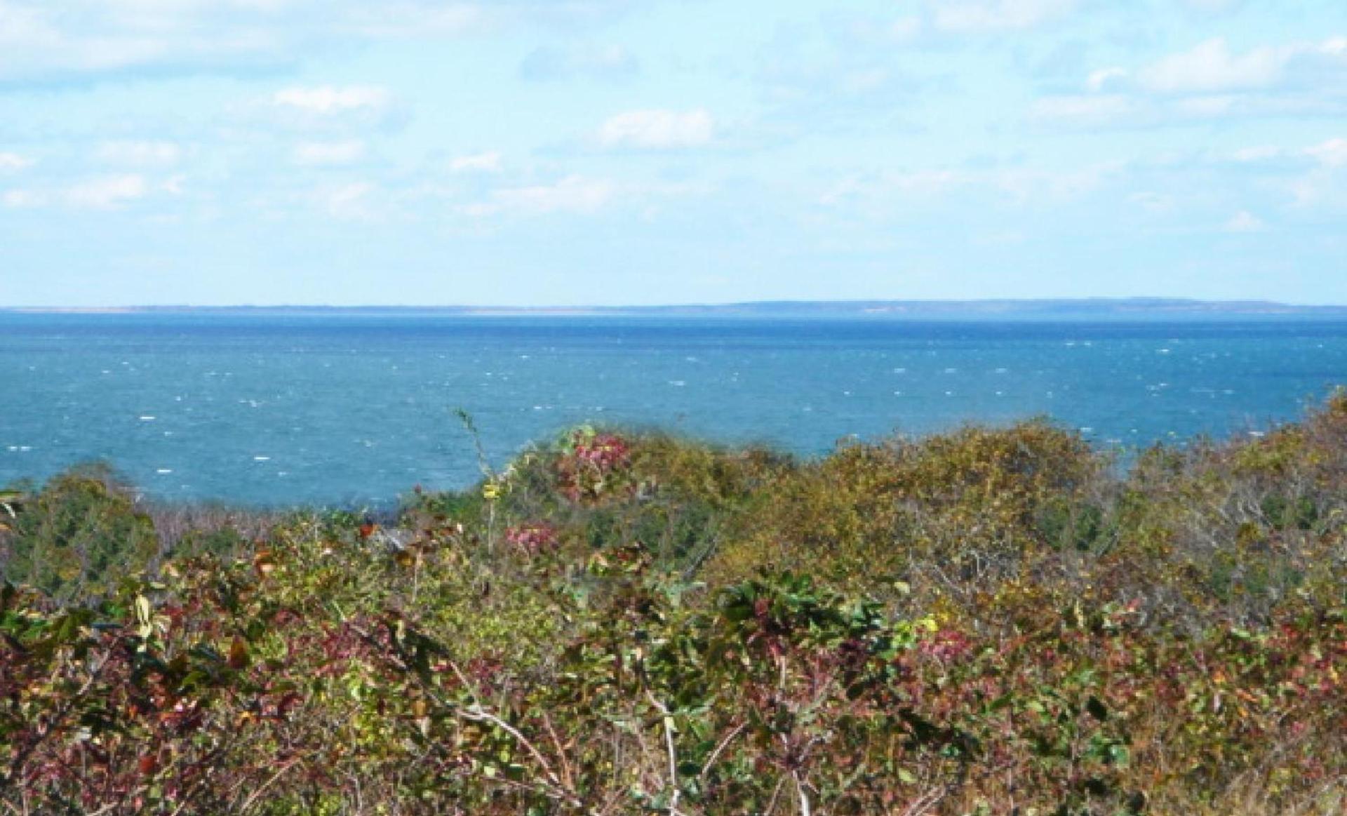 Montauk Manor photo 43