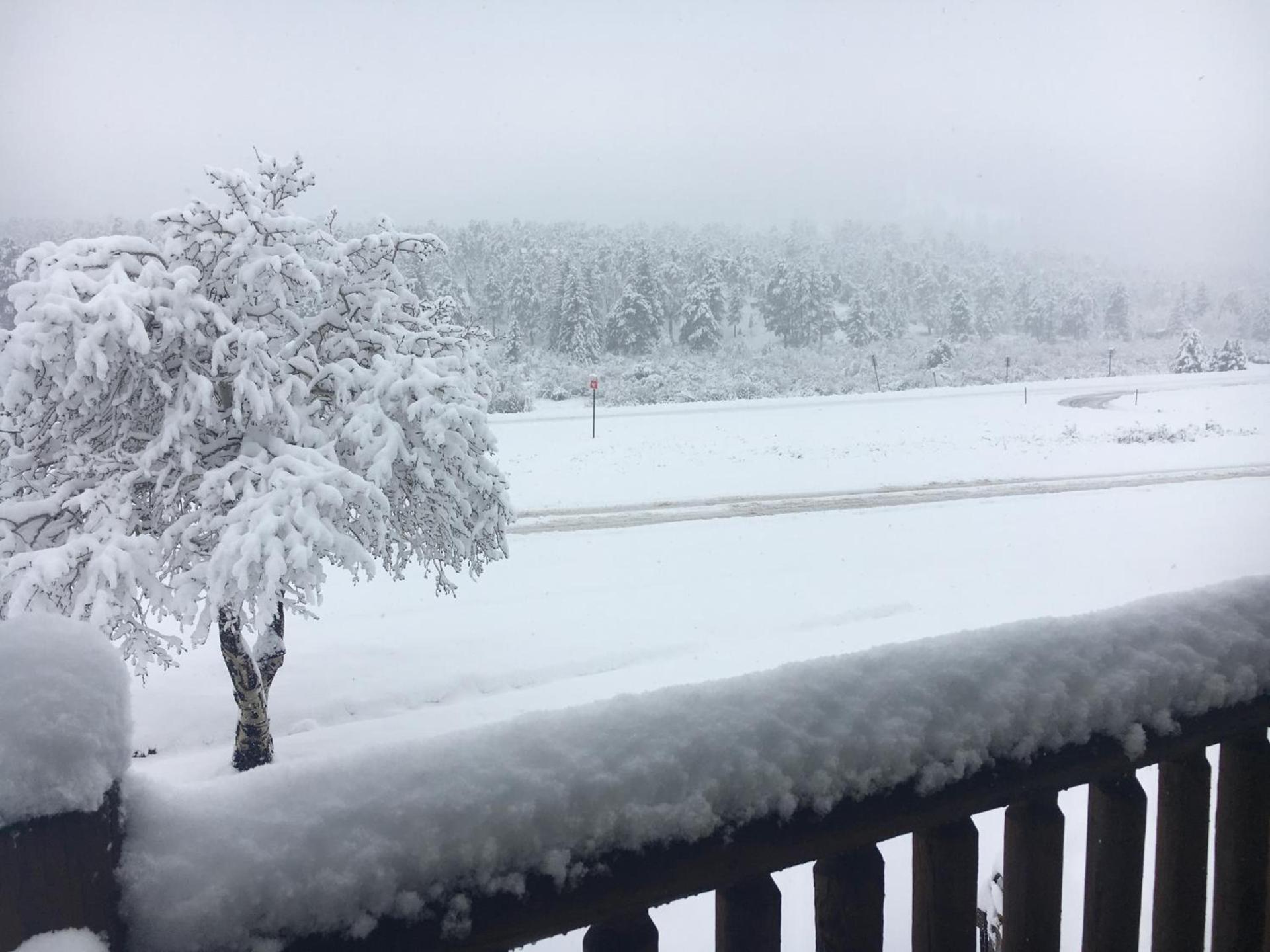 Alpine Trail Ridge Inn photo 3
