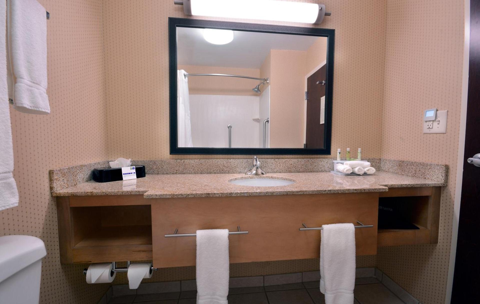 Holiday Inn Express Hotel & Suites High Point South by IHG photo 28