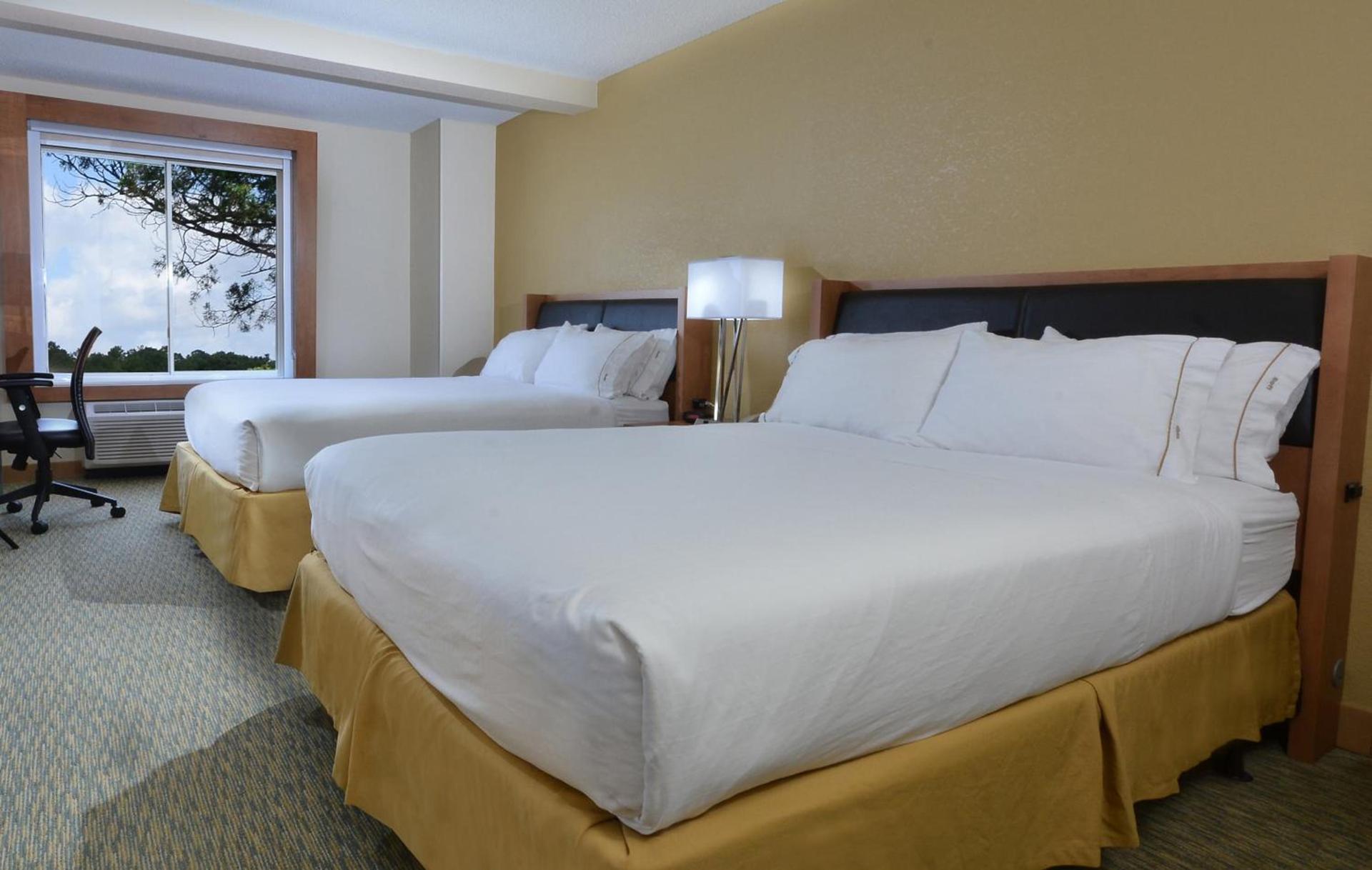 Holiday Inn Express Hotel & Suites High Point South by IHG photo 31