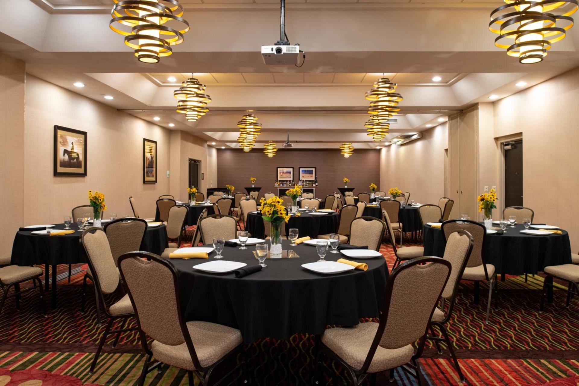 Holiday Inn Amarillo West Medical Center by IHG photo 27
