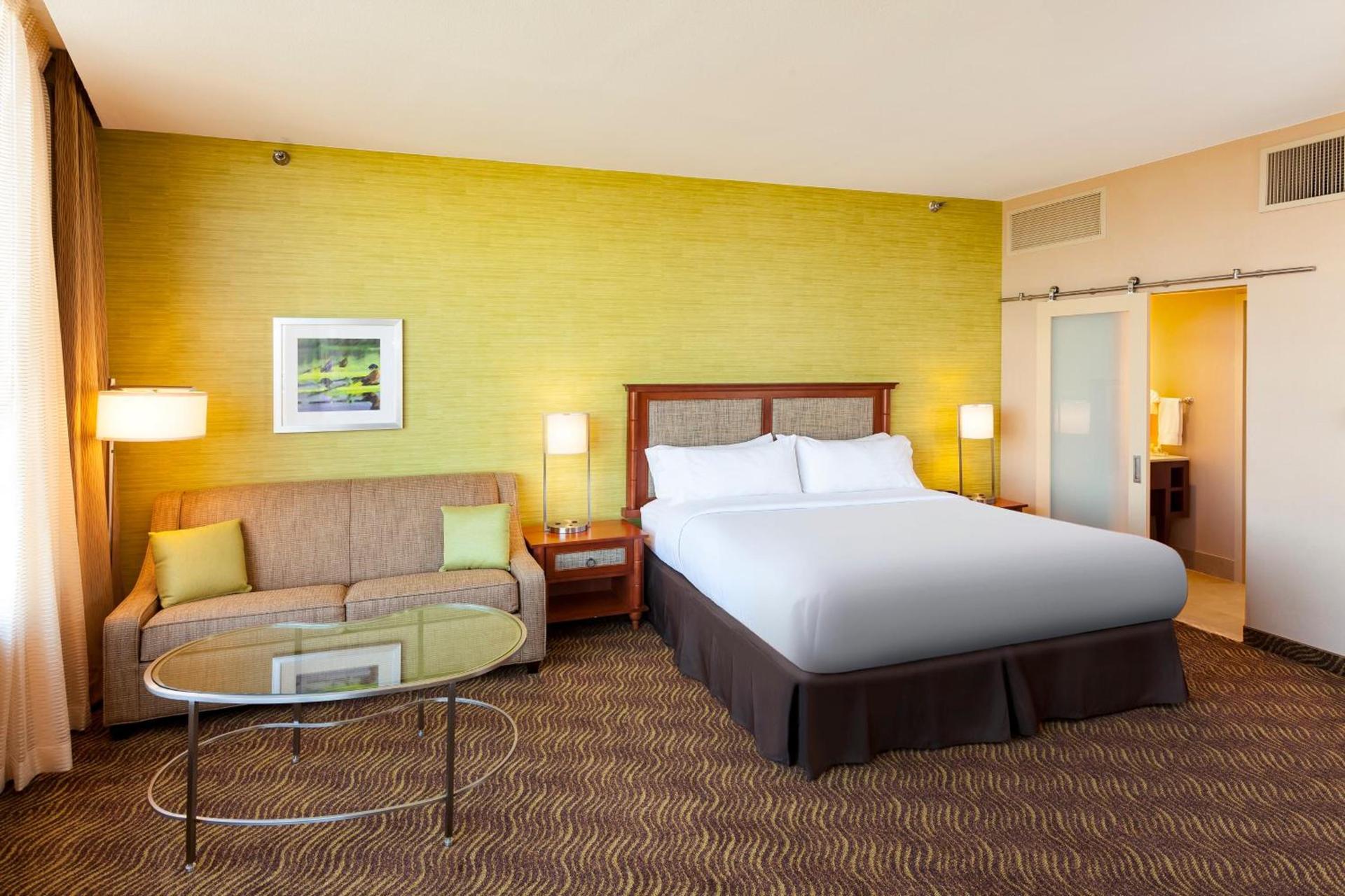 Holiday Inn Austin -Town Lake by IHG photo 25