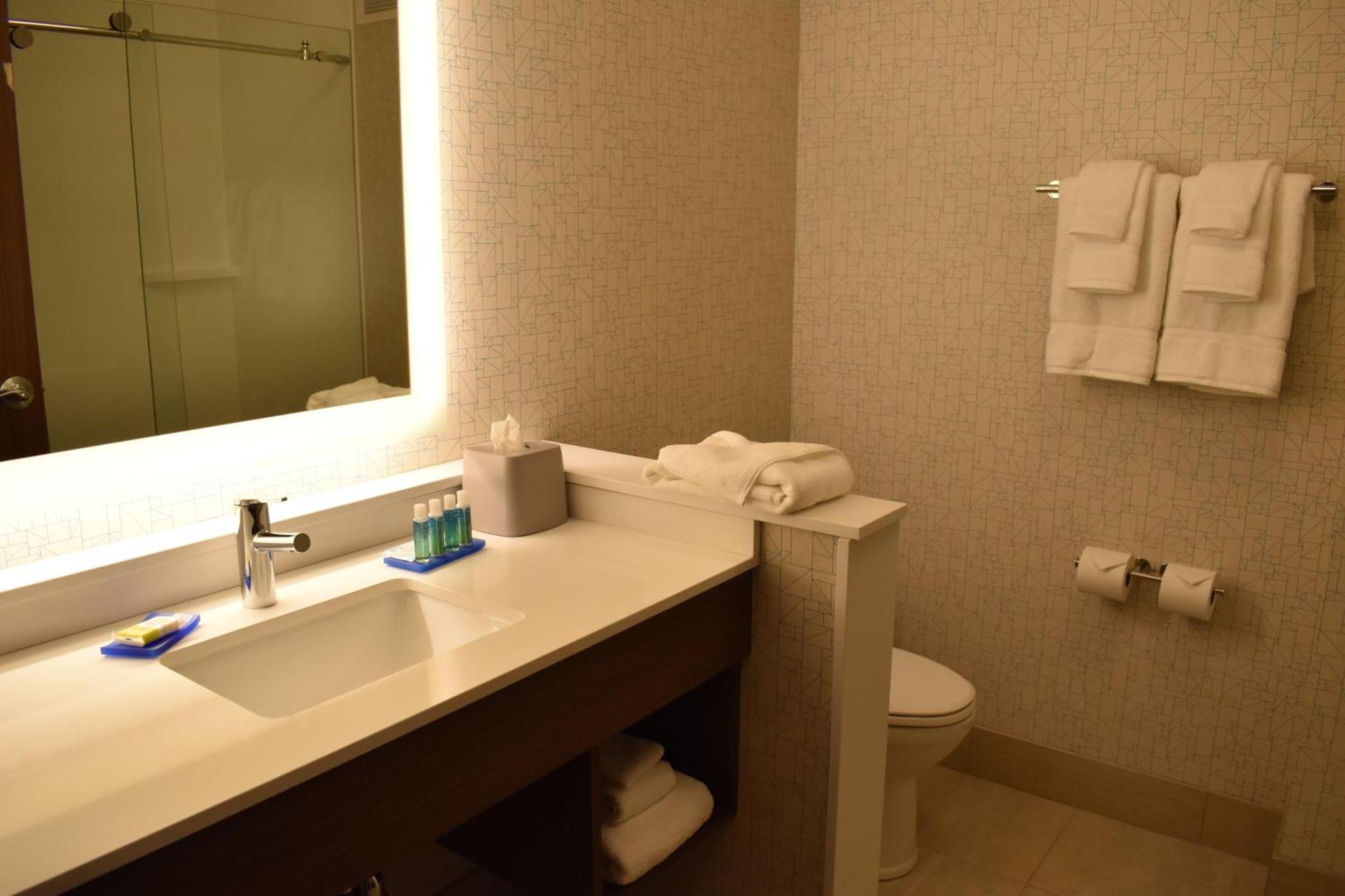Holiday Inn Express & Suites - Boston South - Randolph by IHG photo 17