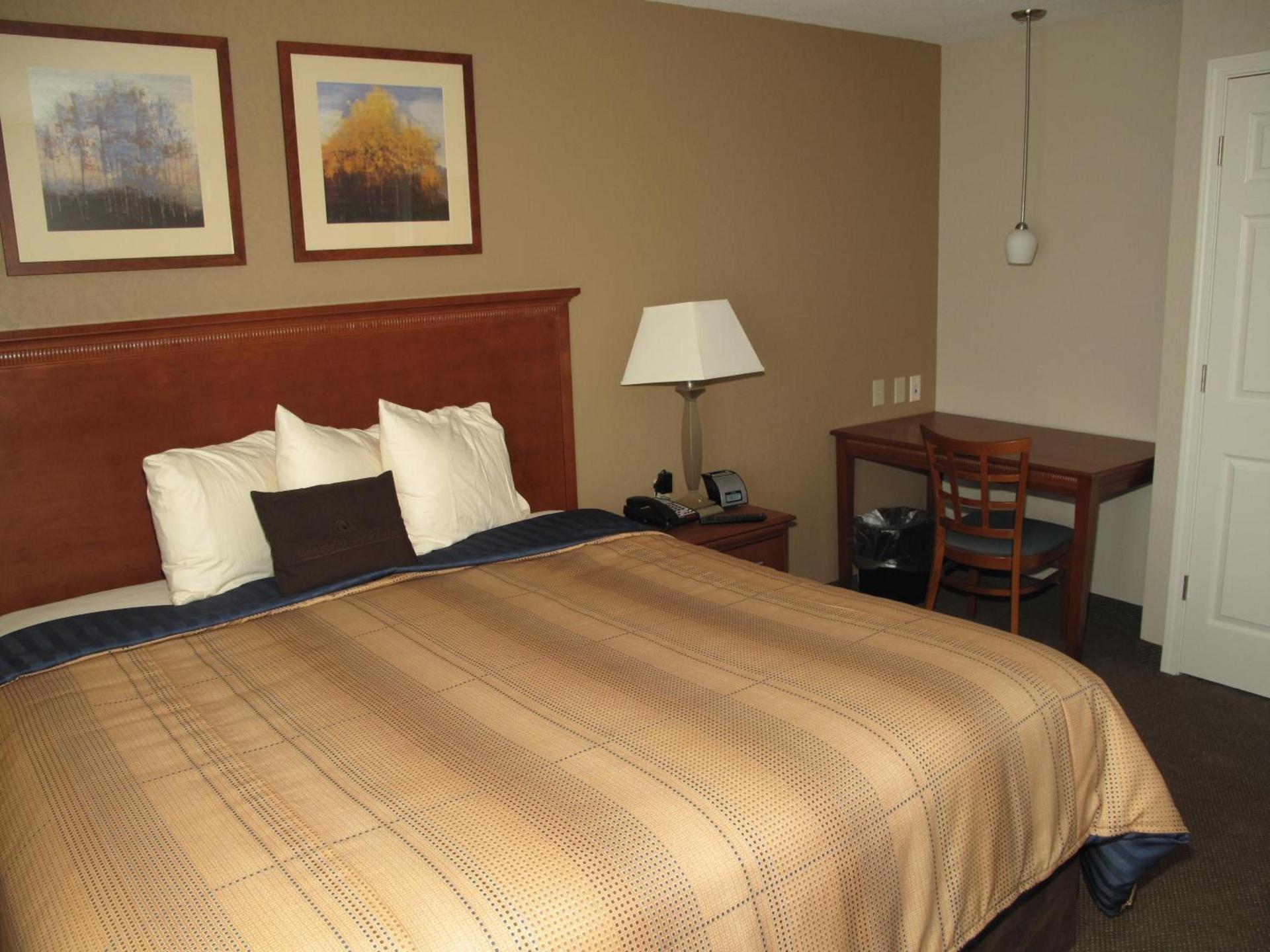 Candlewood Suites Elgin – Northwest Chicago by IHG photo 14