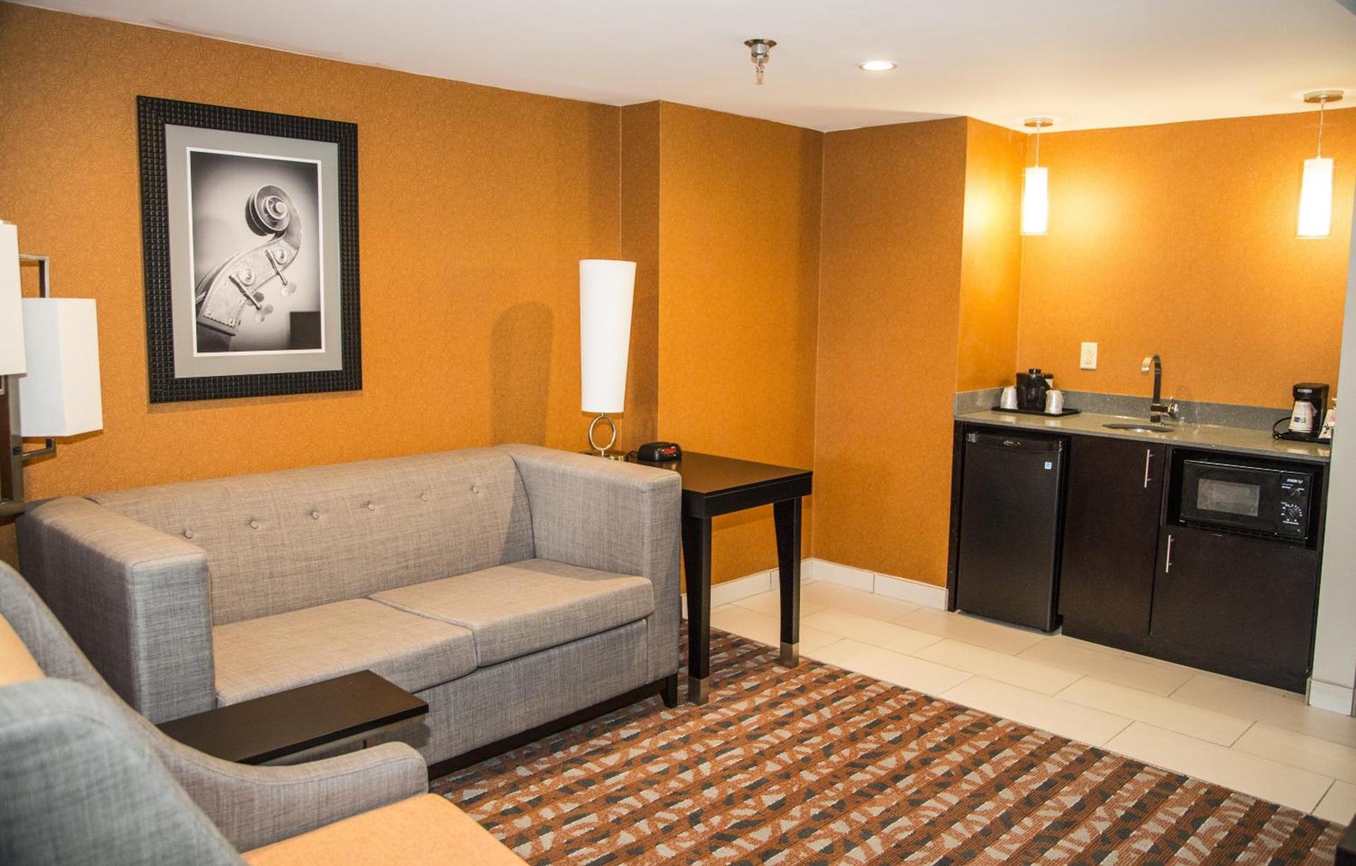 Holiday Inn Express & Suites Nashville Southeast - Antioch by IHG photo 15