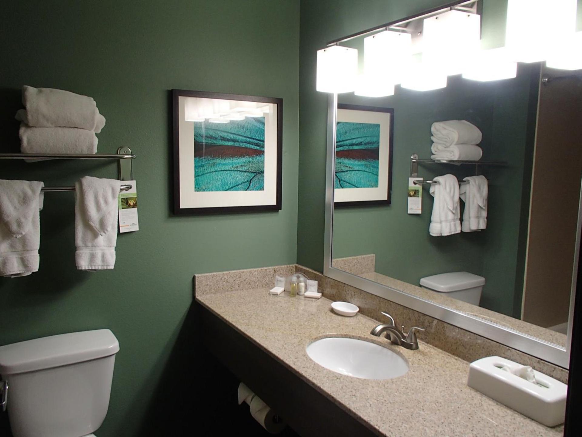 Wingate by Wyndham Bossier City photo 10