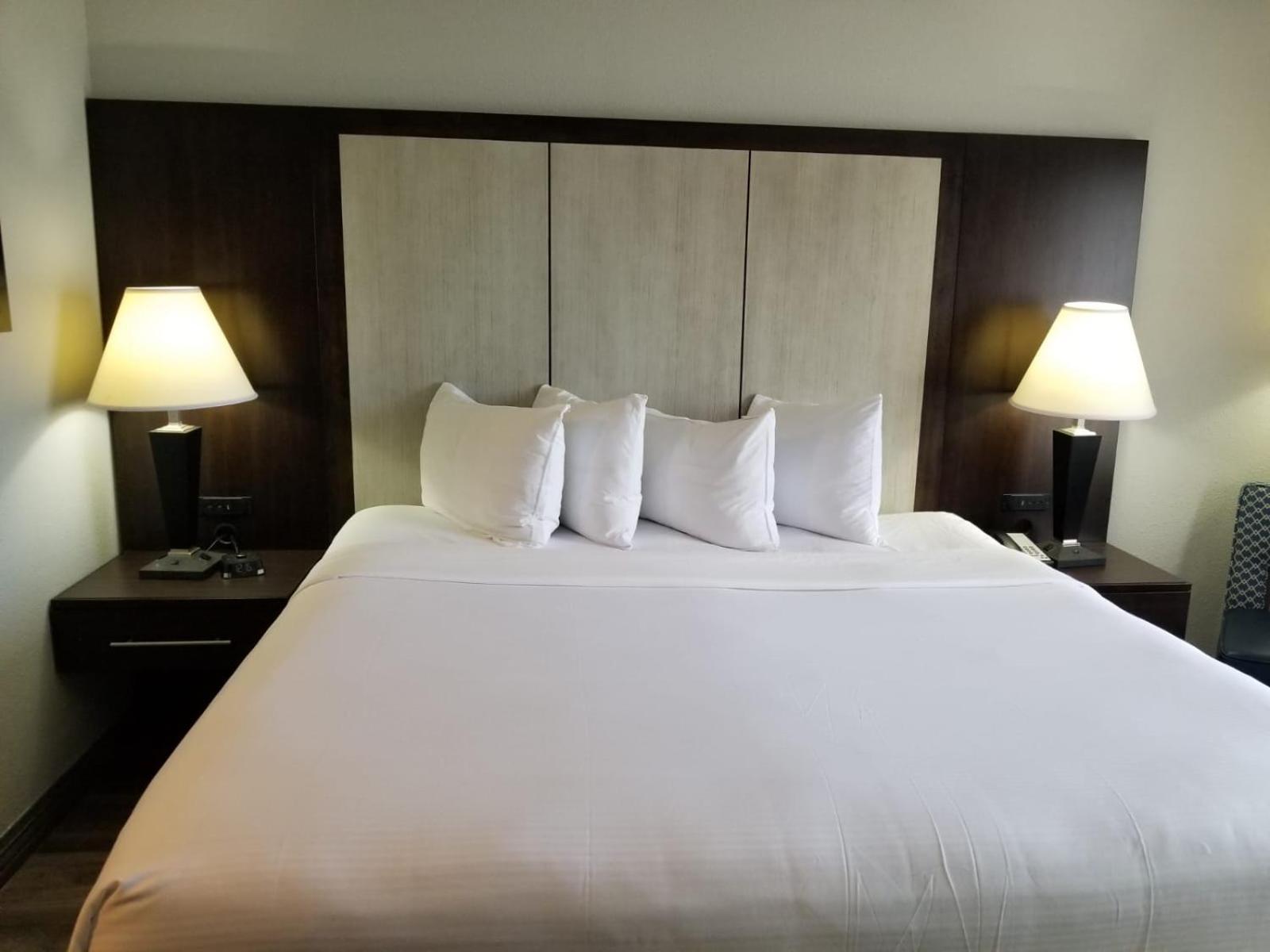 Wyndham Garden Hotel - Jacksonville photo 7