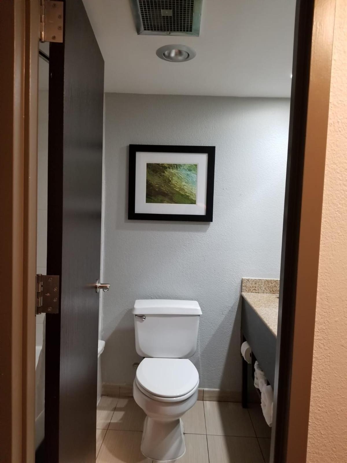Wyndham Garden Hotel - Jacksonville photo 15