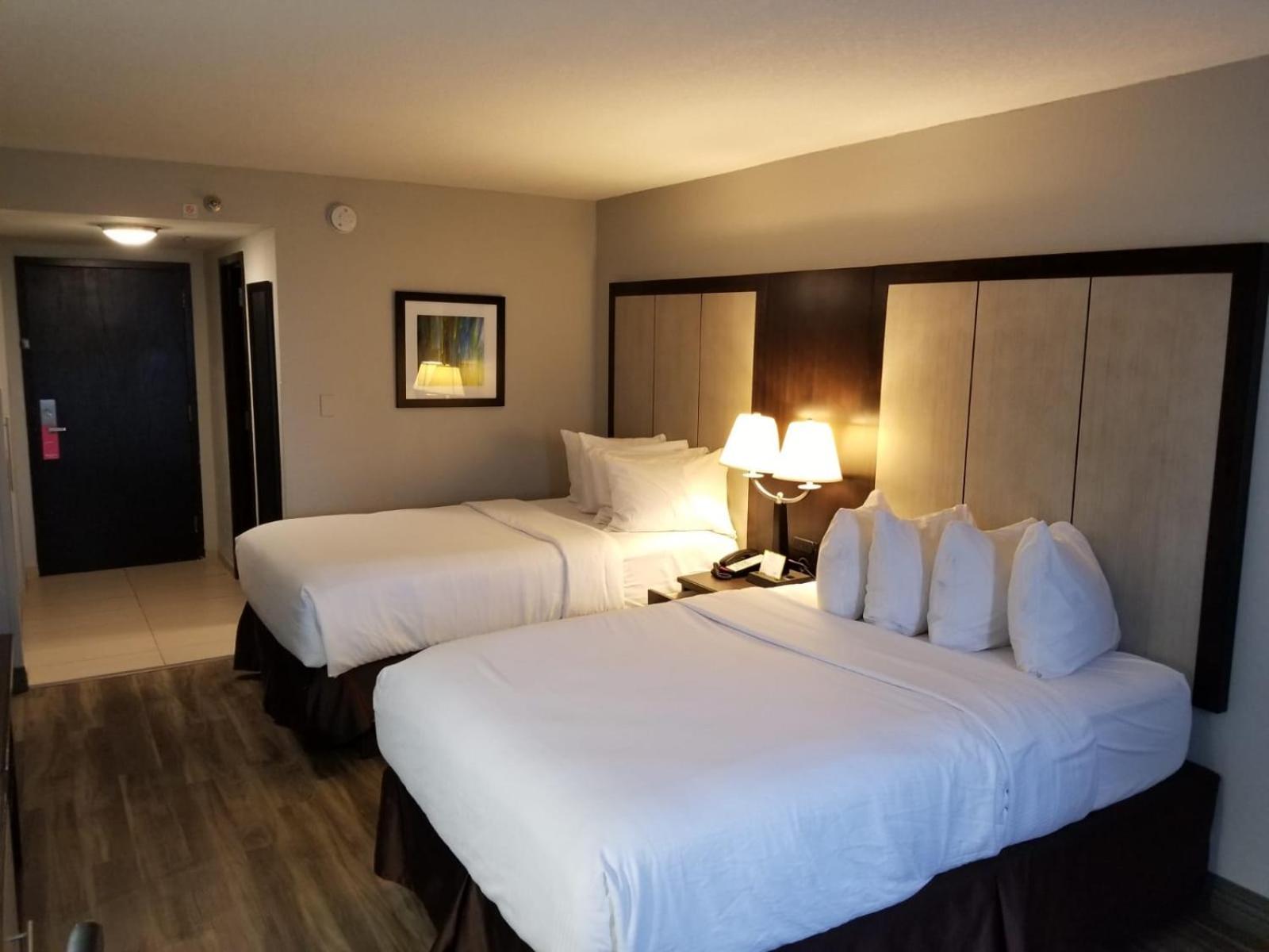 Wyndham Garden Hotel - Jacksonville photo 6