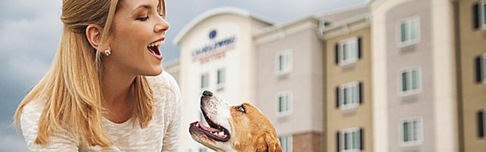 Candlewood Suites DFW West - Hurst by IHG photo 5