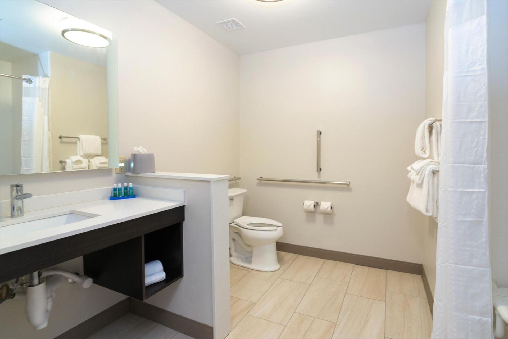 Holiday Inn Express & Suites Allen Park by IHG photo 26