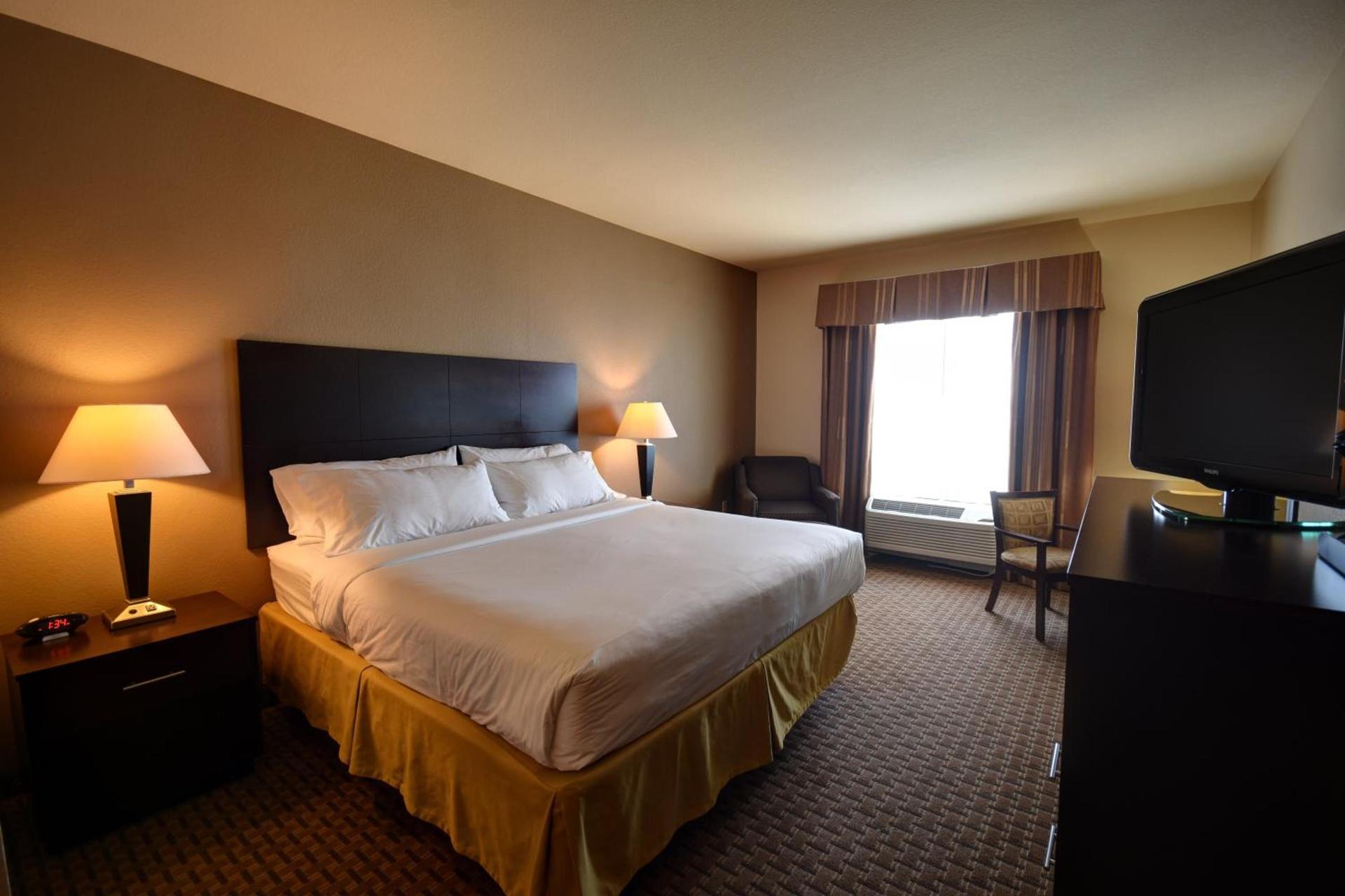 Holiday Inn Express & Suites Del Rio by IHG photo 7