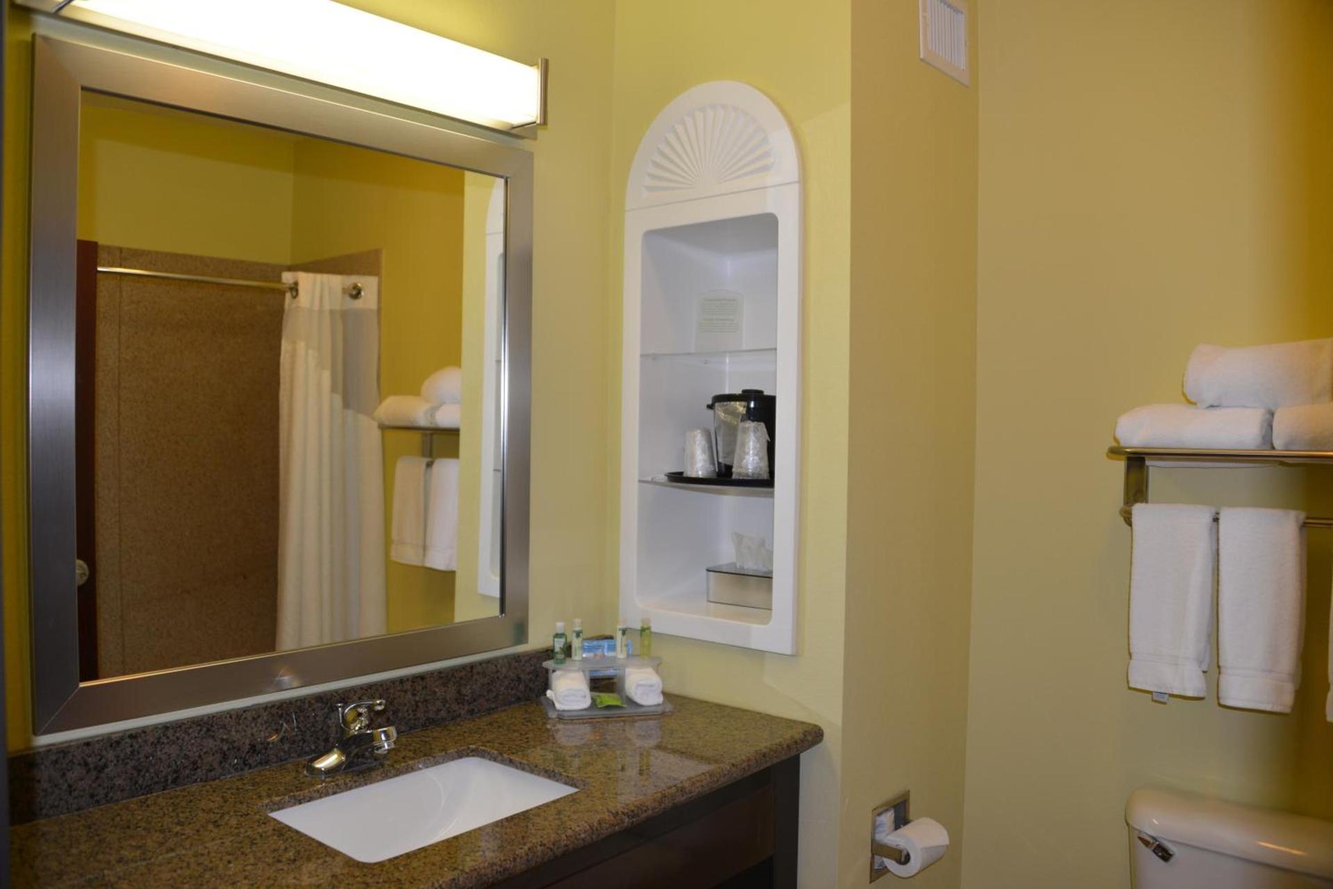 Holiday Inn Express Hotel & Suites Dumas by IHG photo 37